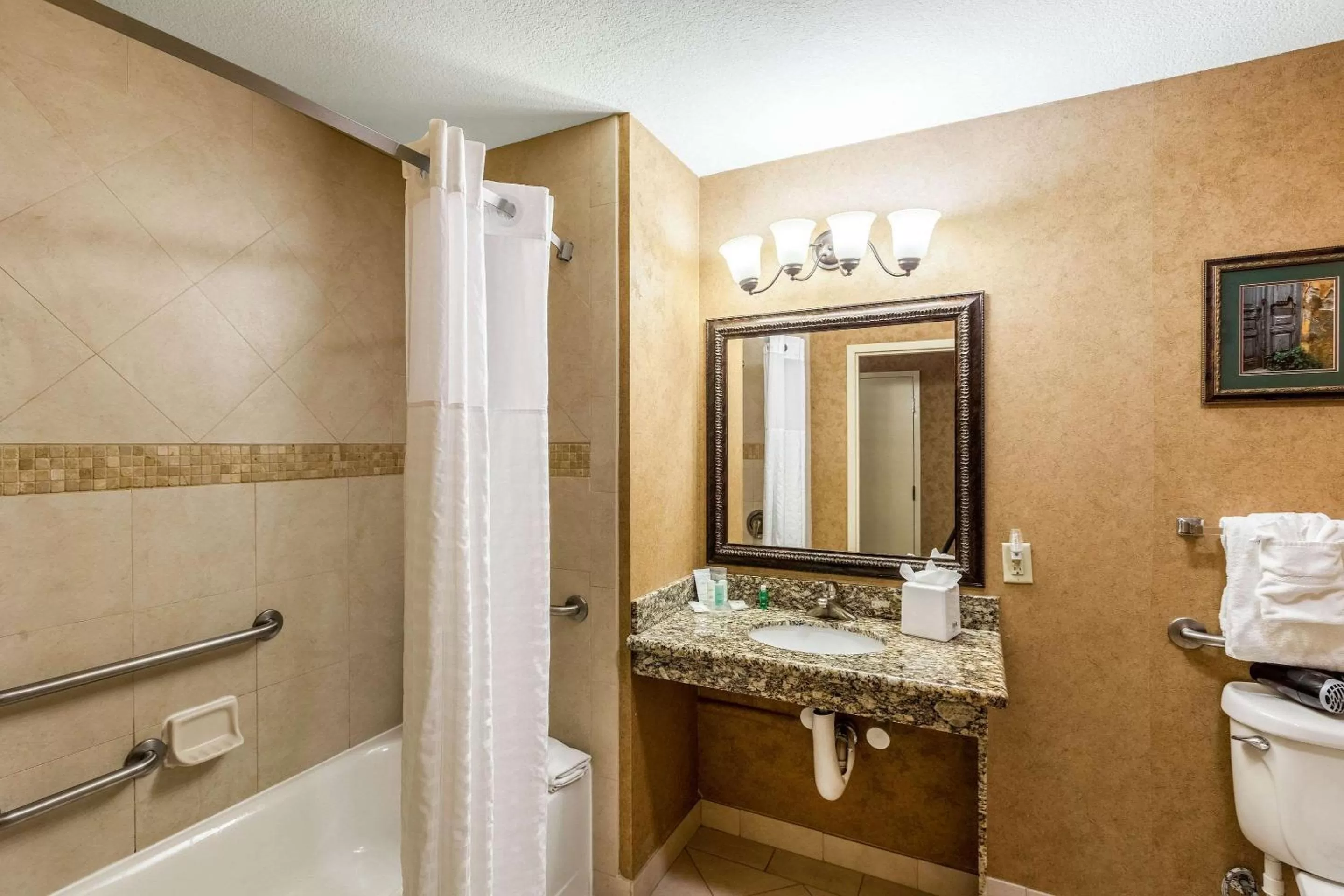 King Suite with Sofa-Bed - Accessible/Non-Smoking in Comfort Suites Alamo Riverwalk