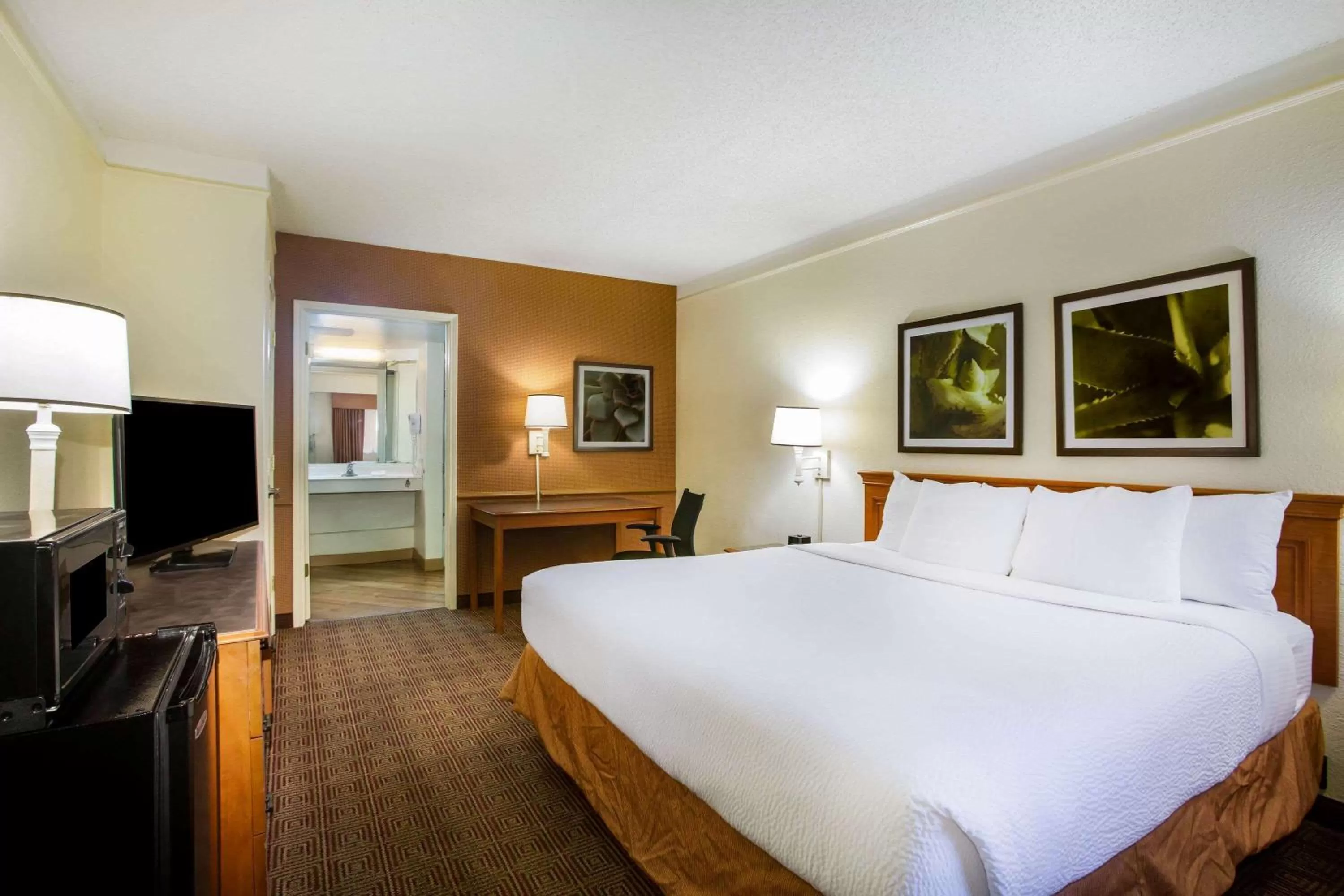 King Room with Roll-In Shower - Mobility/Hearing Accessible - Non-Smoking in La Quinta Inn by Wyndham Austin Capitol / Downtown