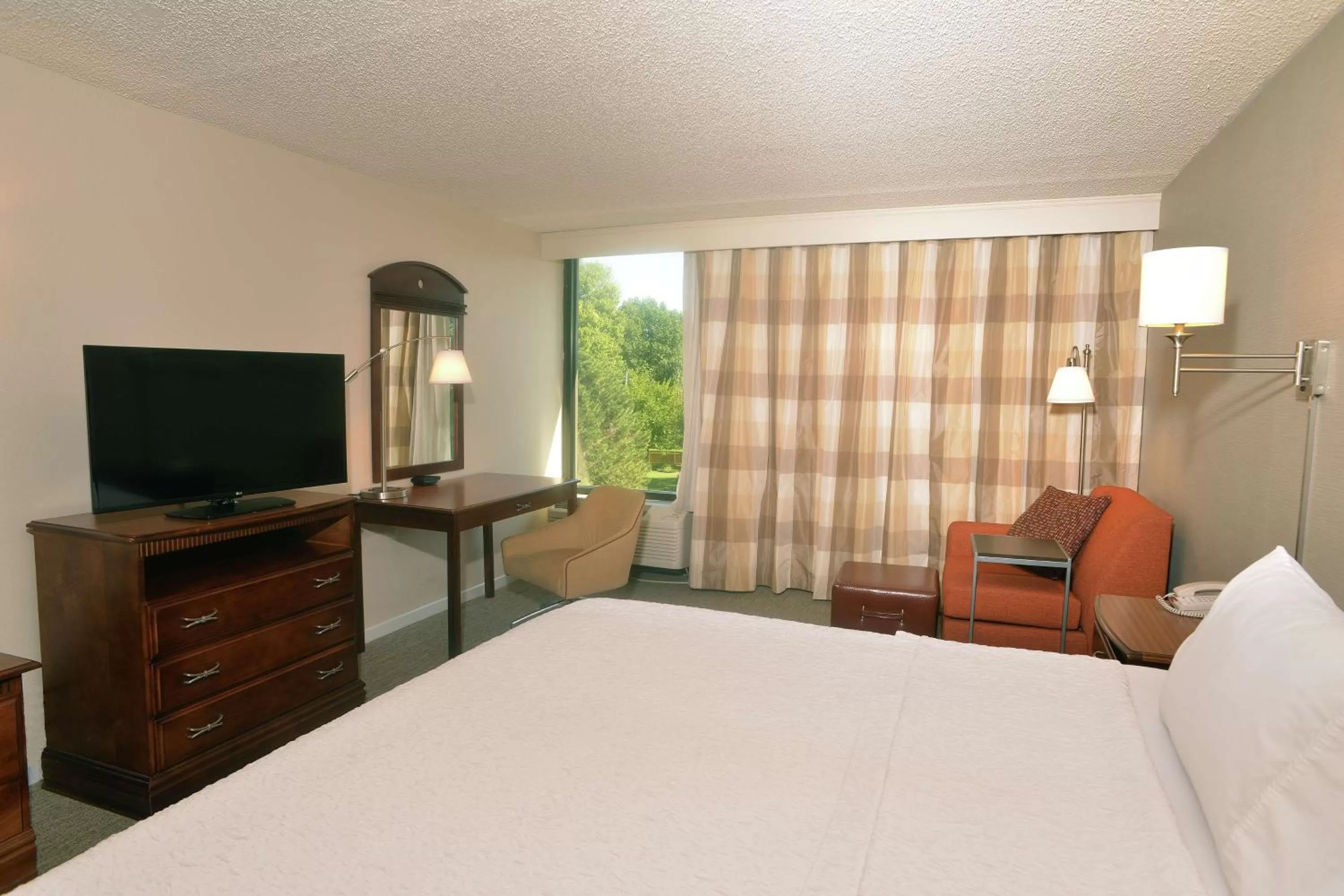 King Room with King Bed - Non-Smoking in Hampton Inn Springfield-South