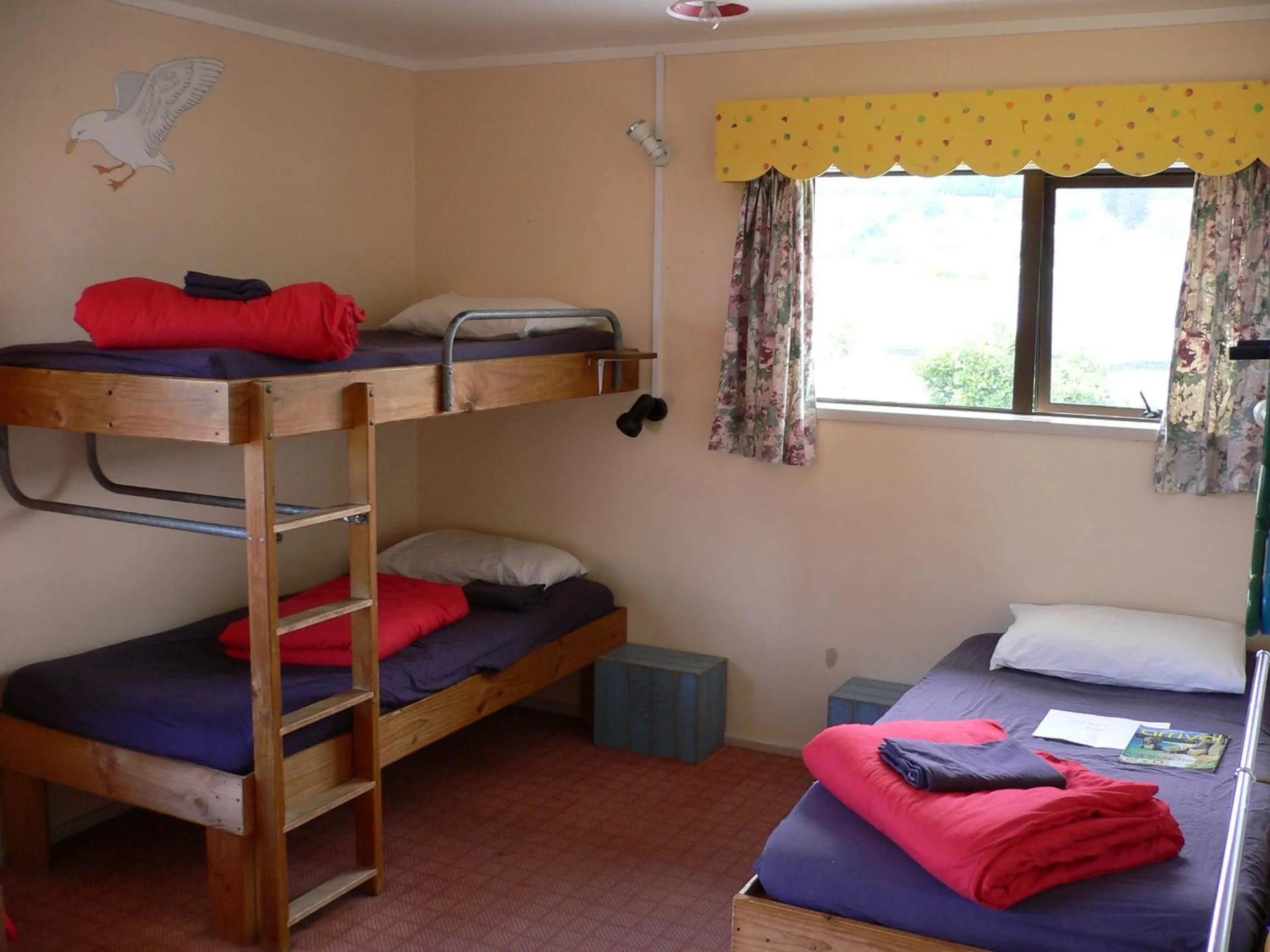Bed in 3-Bed Dormitory Room in Tasman Bay Backpackers
