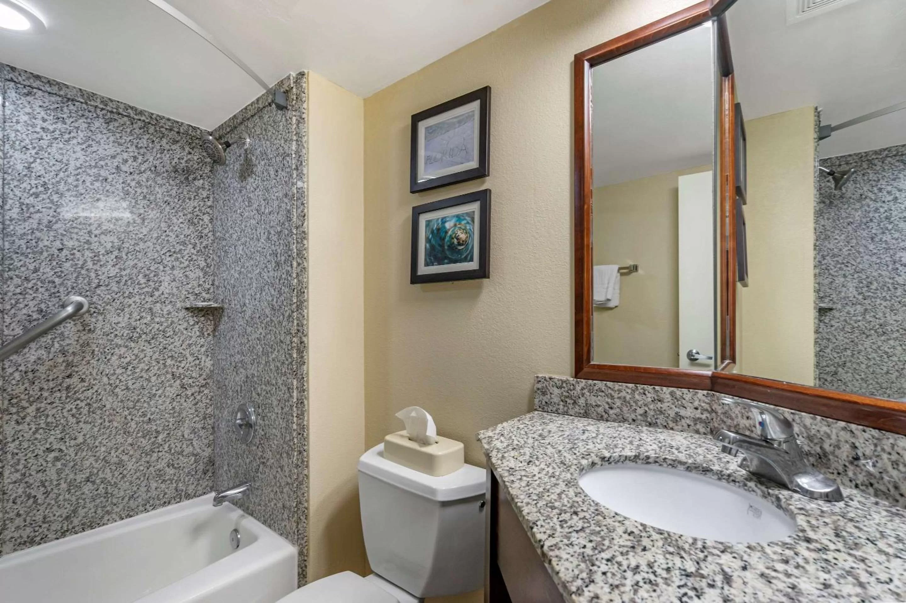 King Room - Non-Smoking in Comfort Inn & Suites St Pete - Clearwater International Airport