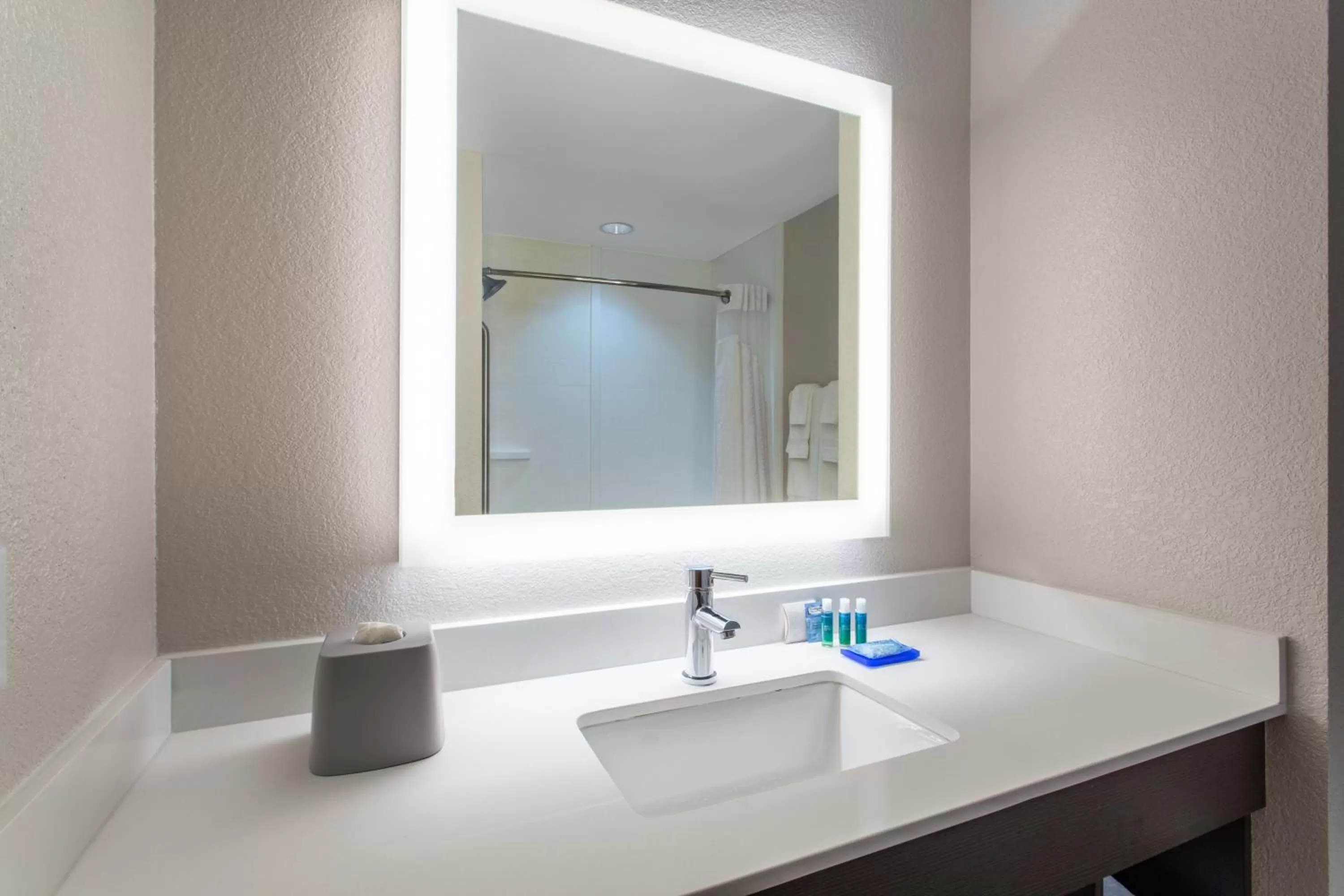 Standard Room in Holiday Inn Express Silver Springs - Ocala by IHG