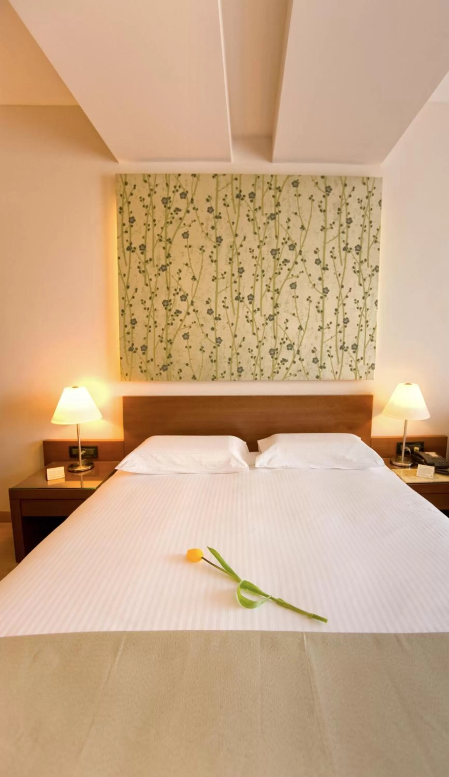 Standard Double Room - single occupancy in Pharae Palace