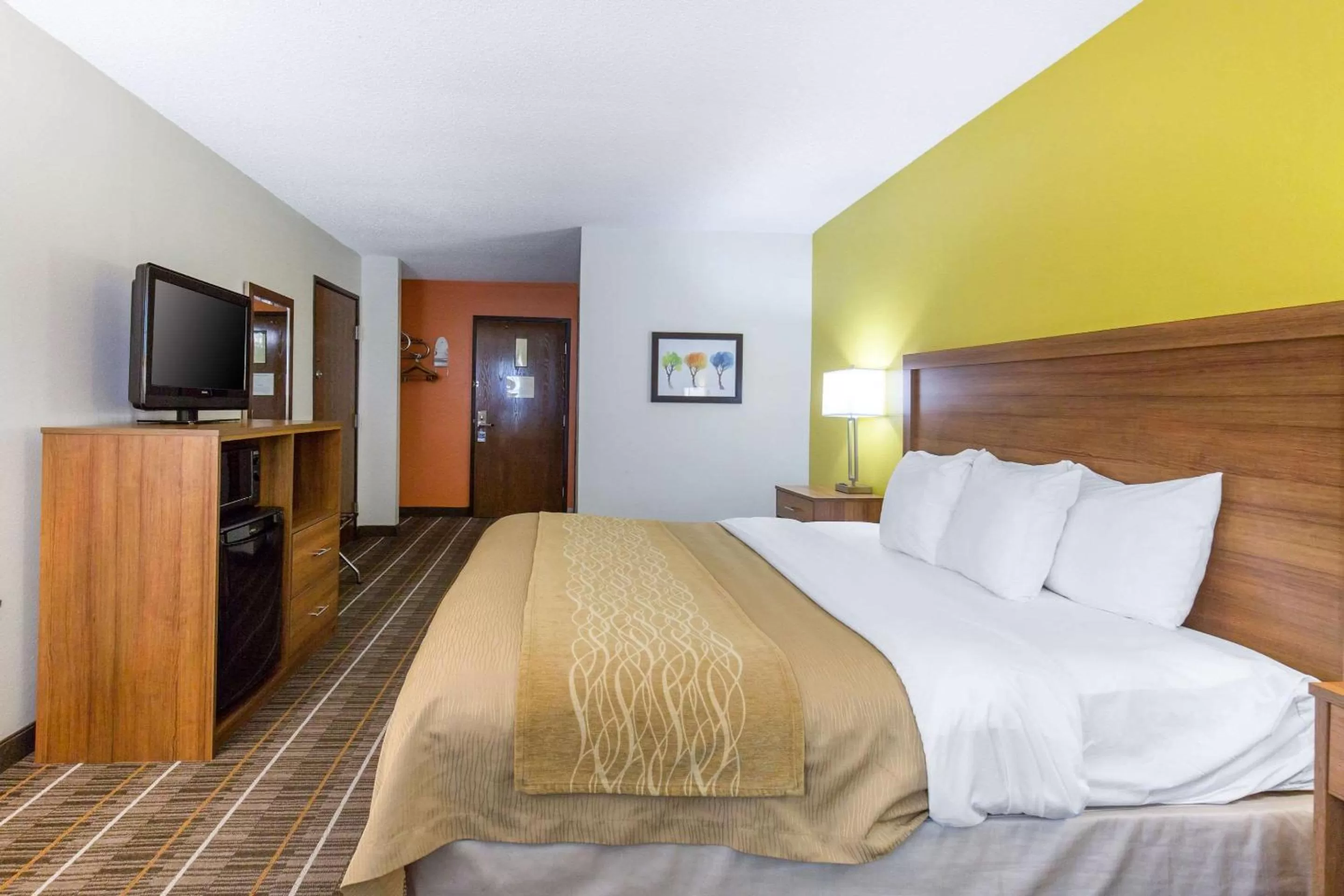 Photo of the whole room, Bed in Quality Inn Stephens City-Winchester South