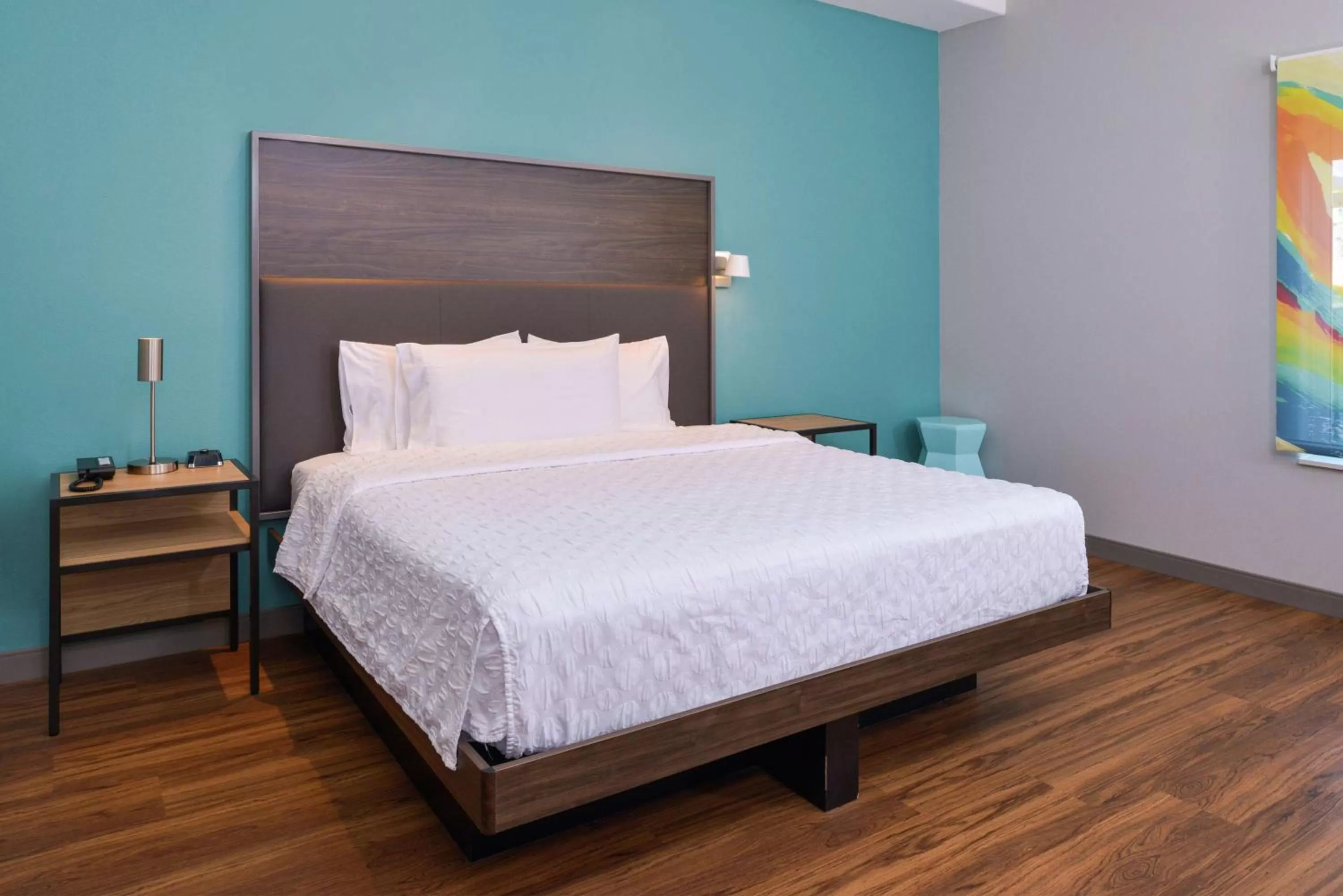 King Room - Hearing Accessible with Roll-In Shower in Tru By Hilton Coppell DFW Airport North