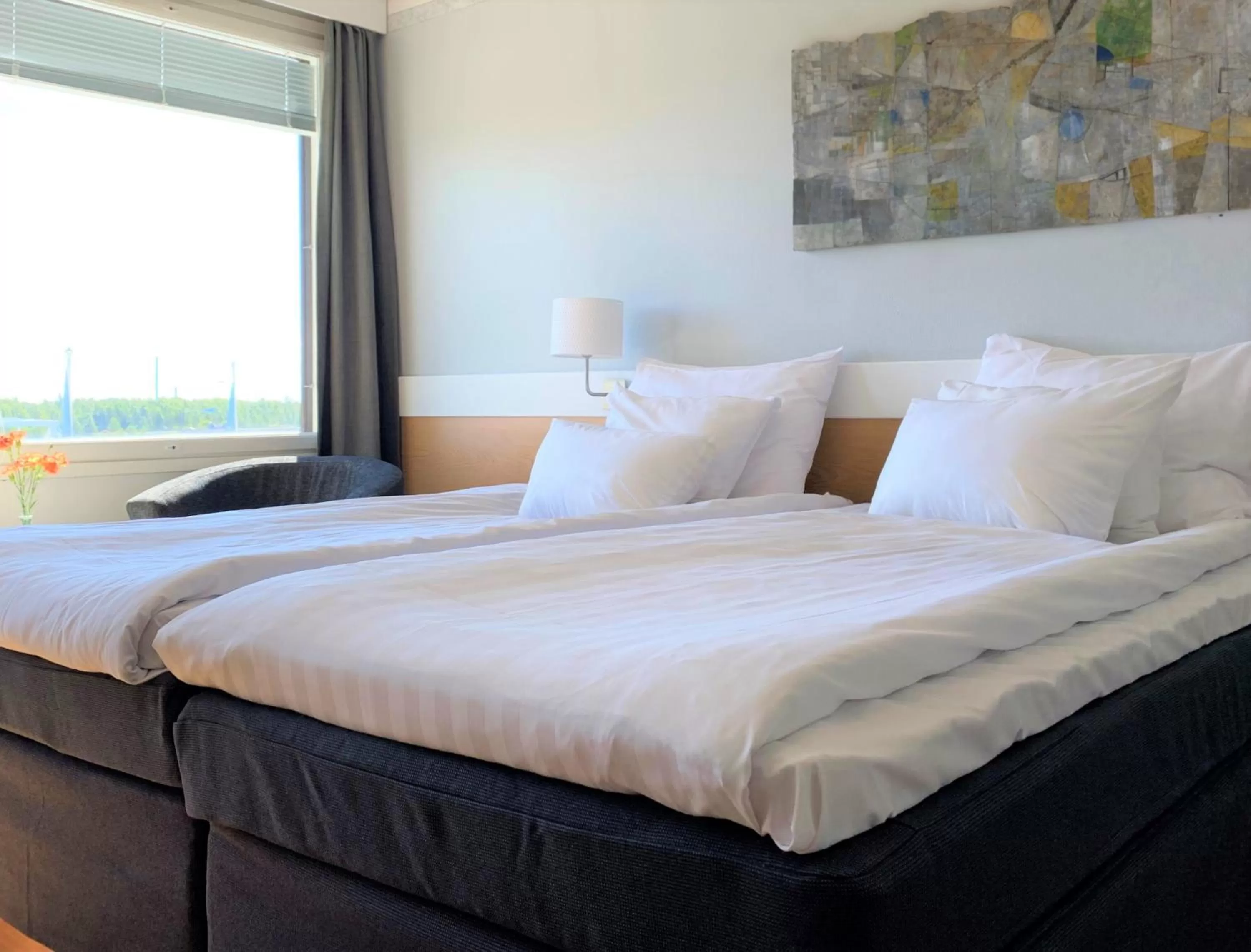 Superior Double Room in Park Hotel Tornio