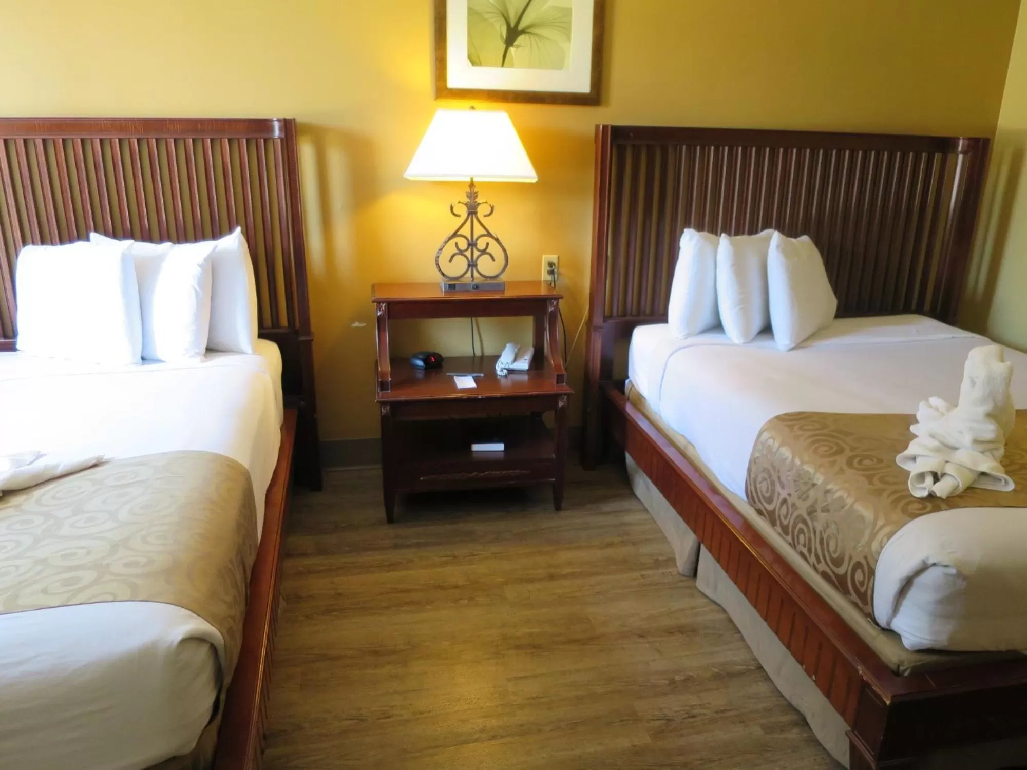 Queen Room with Pool View in Floridian Express International Drive