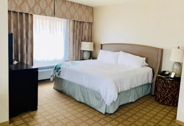 King Room - Non-Smoking in Wingate by Wyndham Elkins