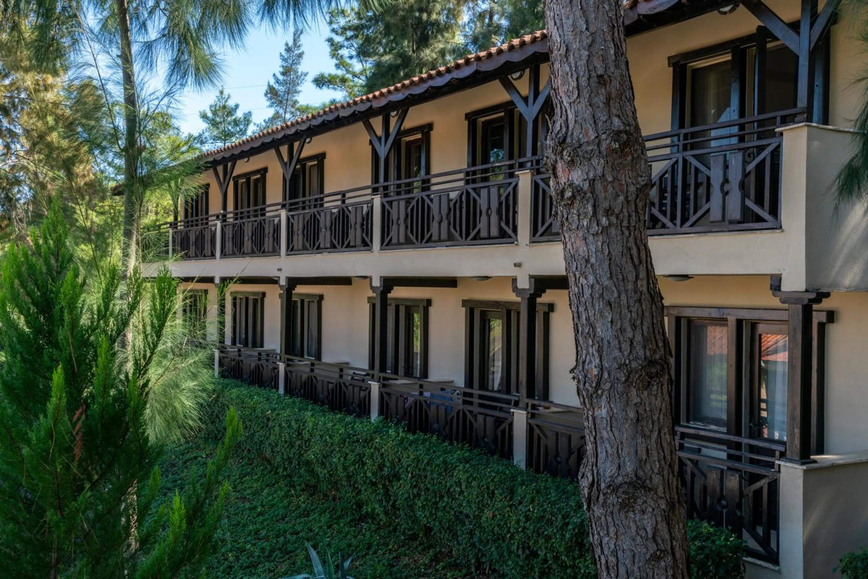 Standard Twin Room in Hotel Berke Ranch&Nature