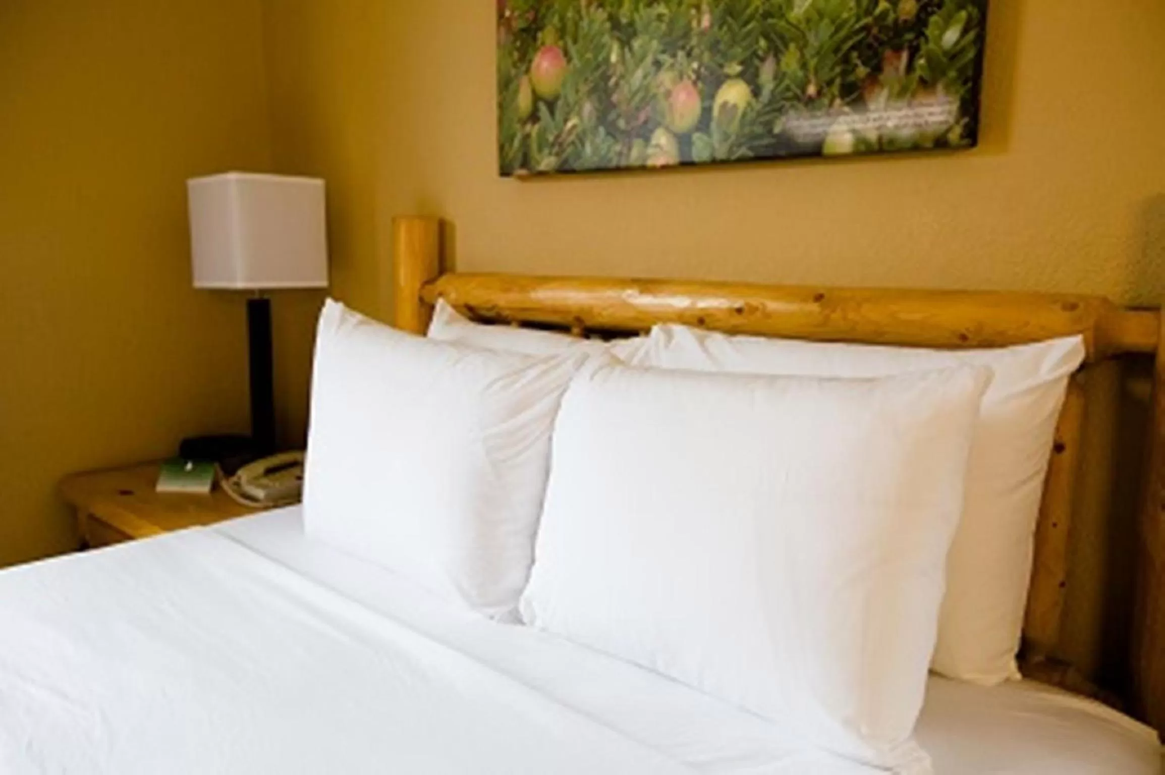 King Room with Sofa Bed in Cranberry Country Lodge