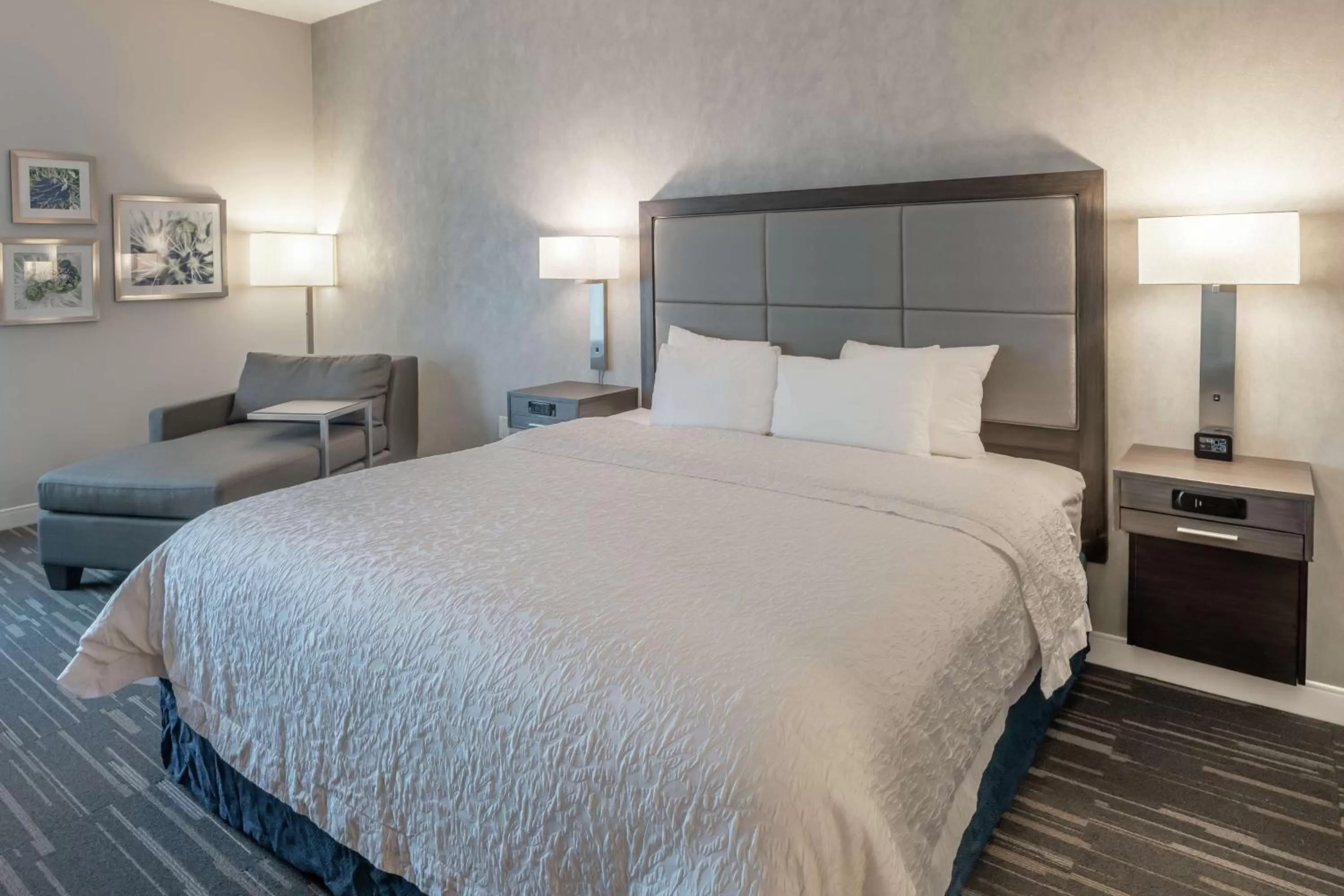 King Room - Mobility Access/Non-Smoking in Hampton Inn Waco North