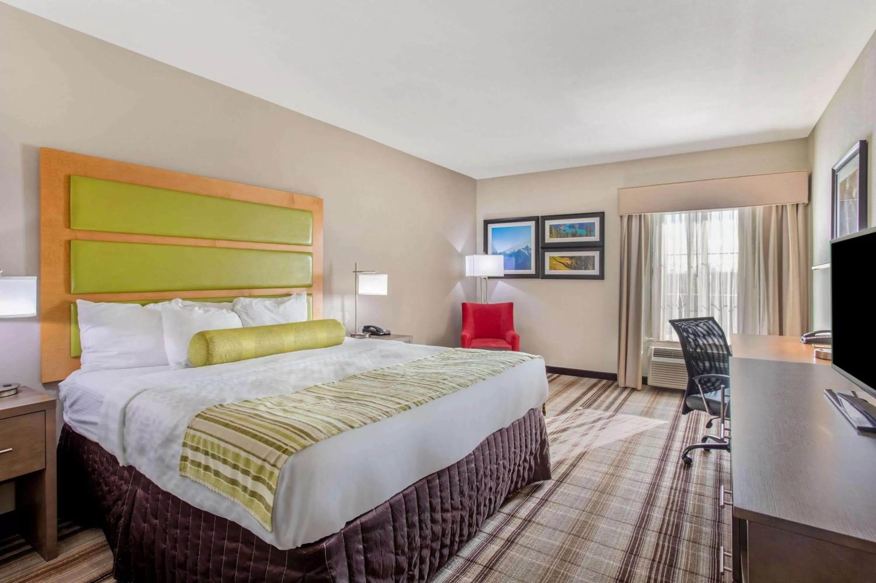 King Room - Disability Access in La Quinta by Wyndham Paducah