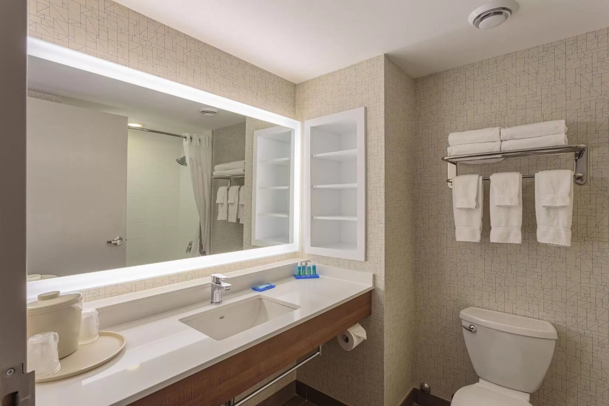 One-Bedroom King Suite in Holiday Inn Express & Suites - Belleville by IHG