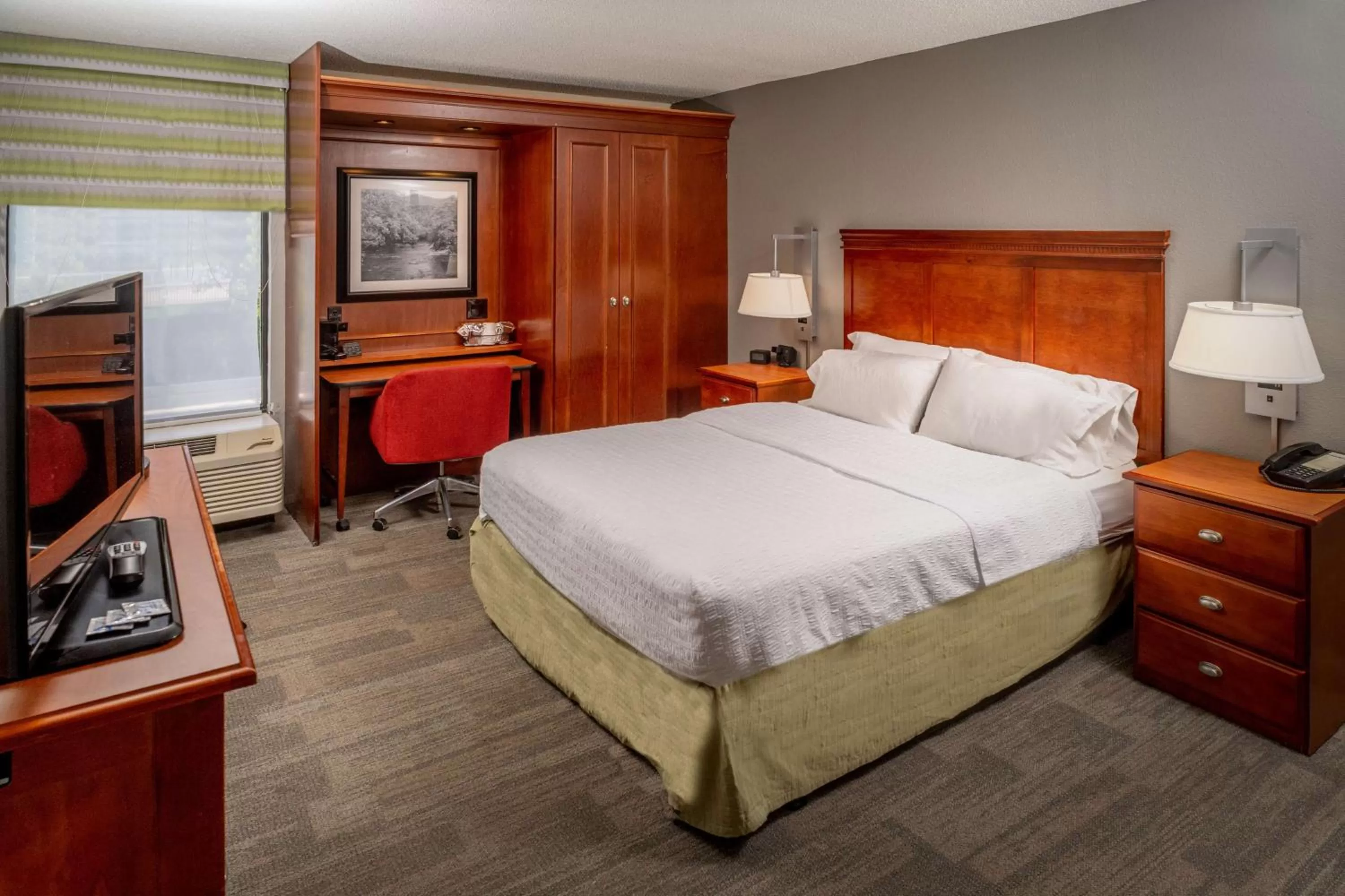 Queen Room with Mobility Access/Non-Smoking in Hampton Inn Charleston Downtown