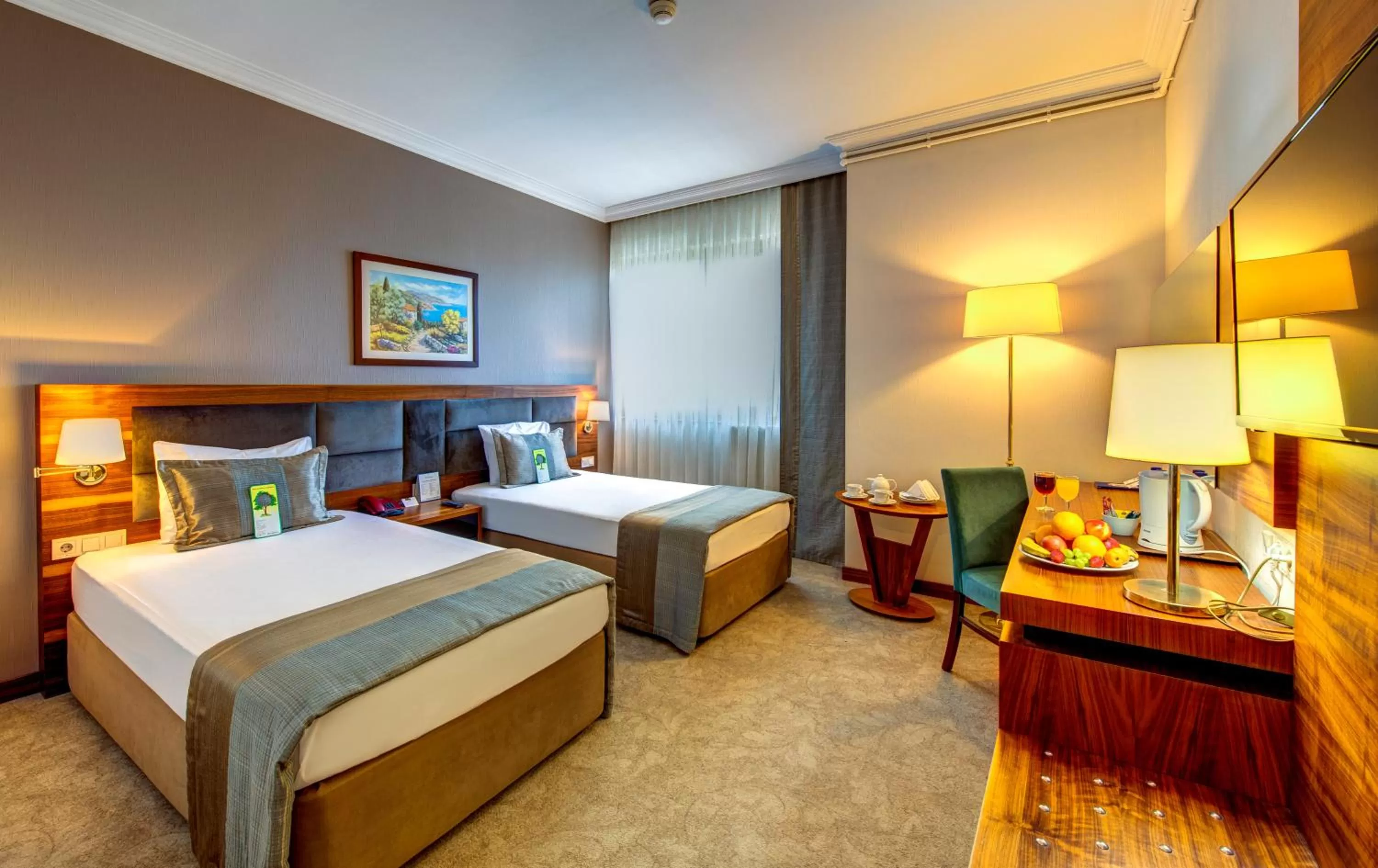 Double or Twin Room - single occupancy in Bera Konya Hotel