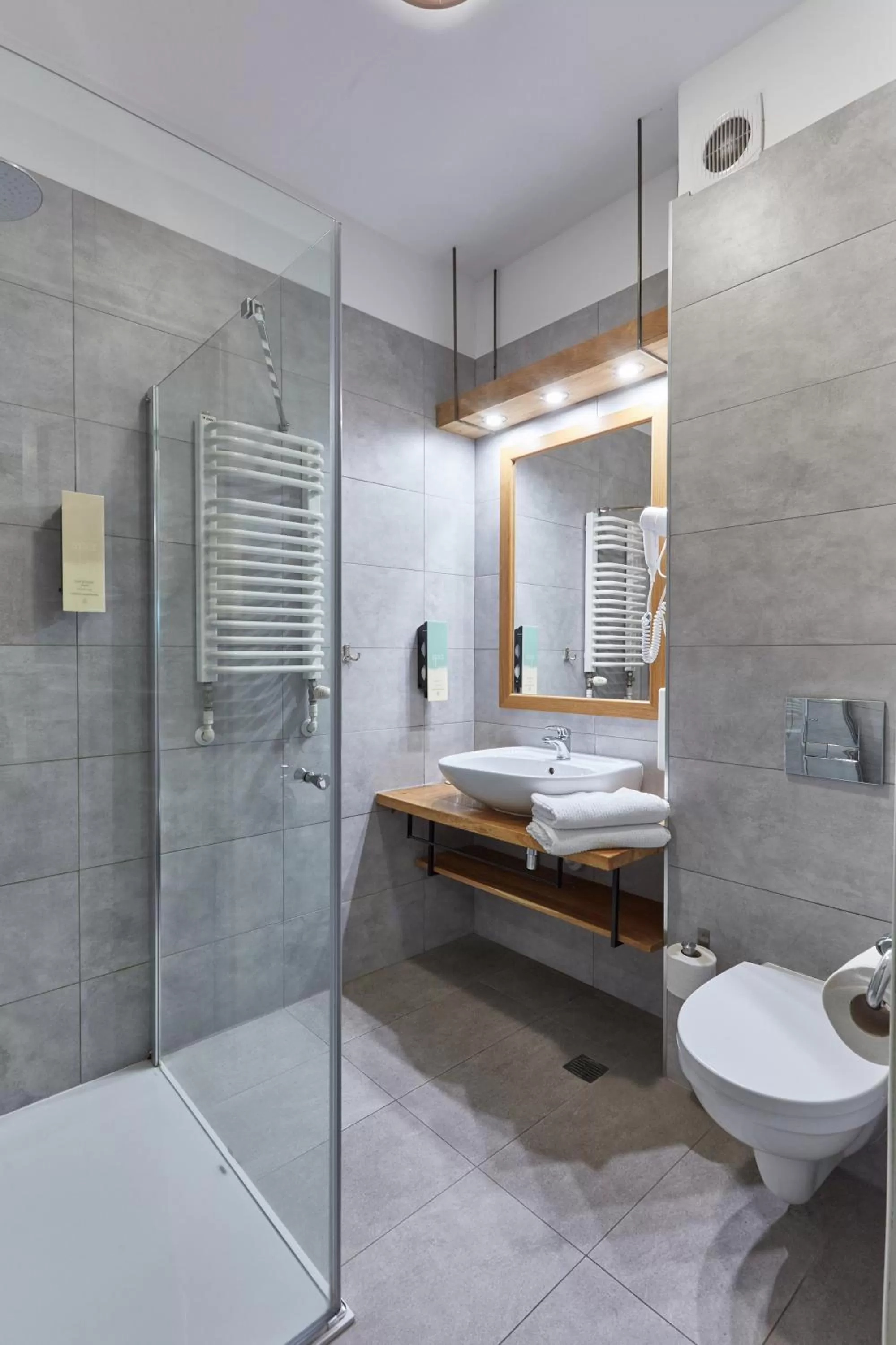 Double Room (1 Adult) in Hotel Batory