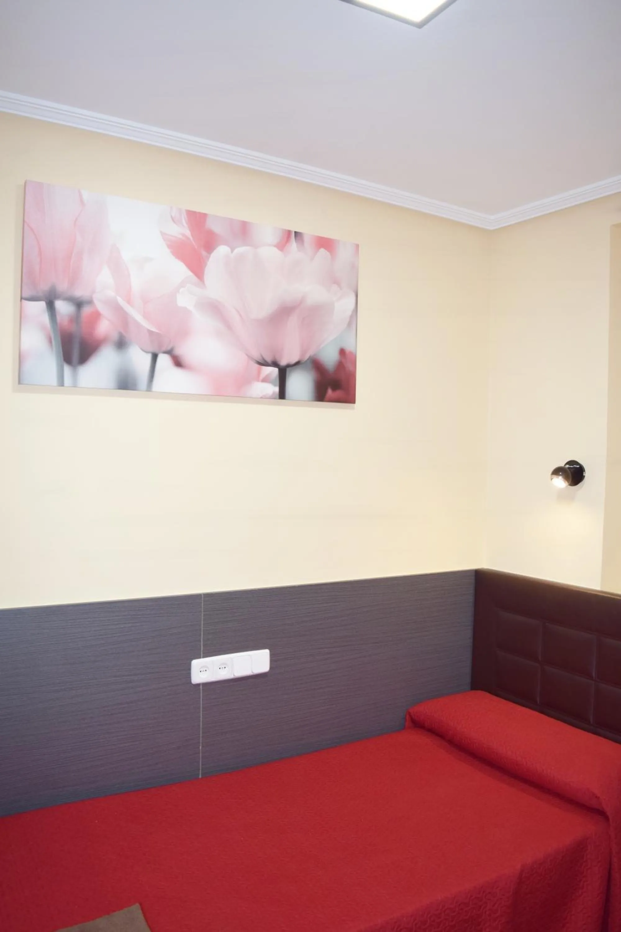 Single Room with Shared Bathroom in Hostal Numancia