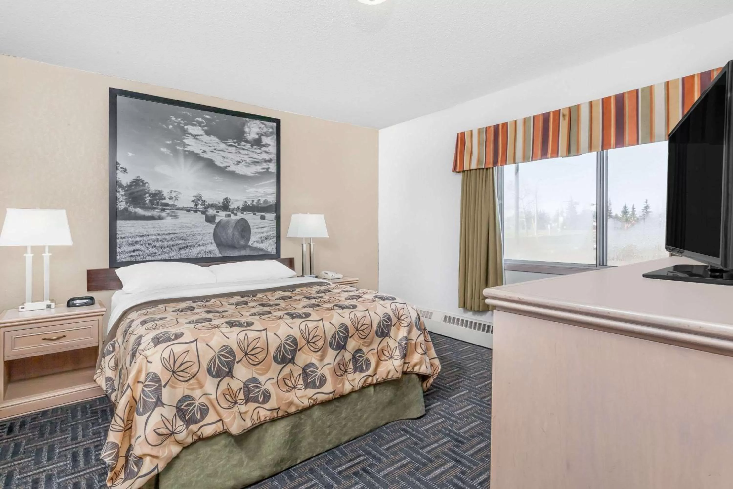 Queen Room - Disability Access/Non-Smoking in Super 8 by Wyndham Stettler