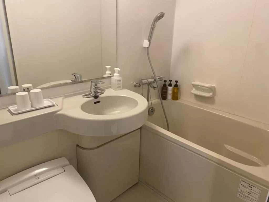 Deluxe Double Room - single occupancy - Smoking in Smile Hotel Nagoya Sakae