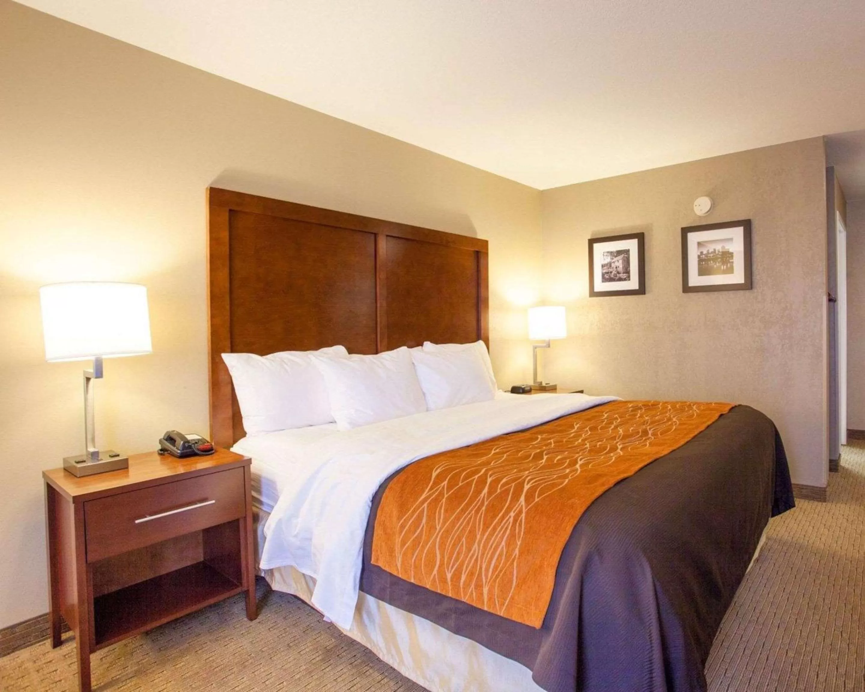 King Room - Accessible/Non-Smoking in Quality Inn & Suites I-40 East