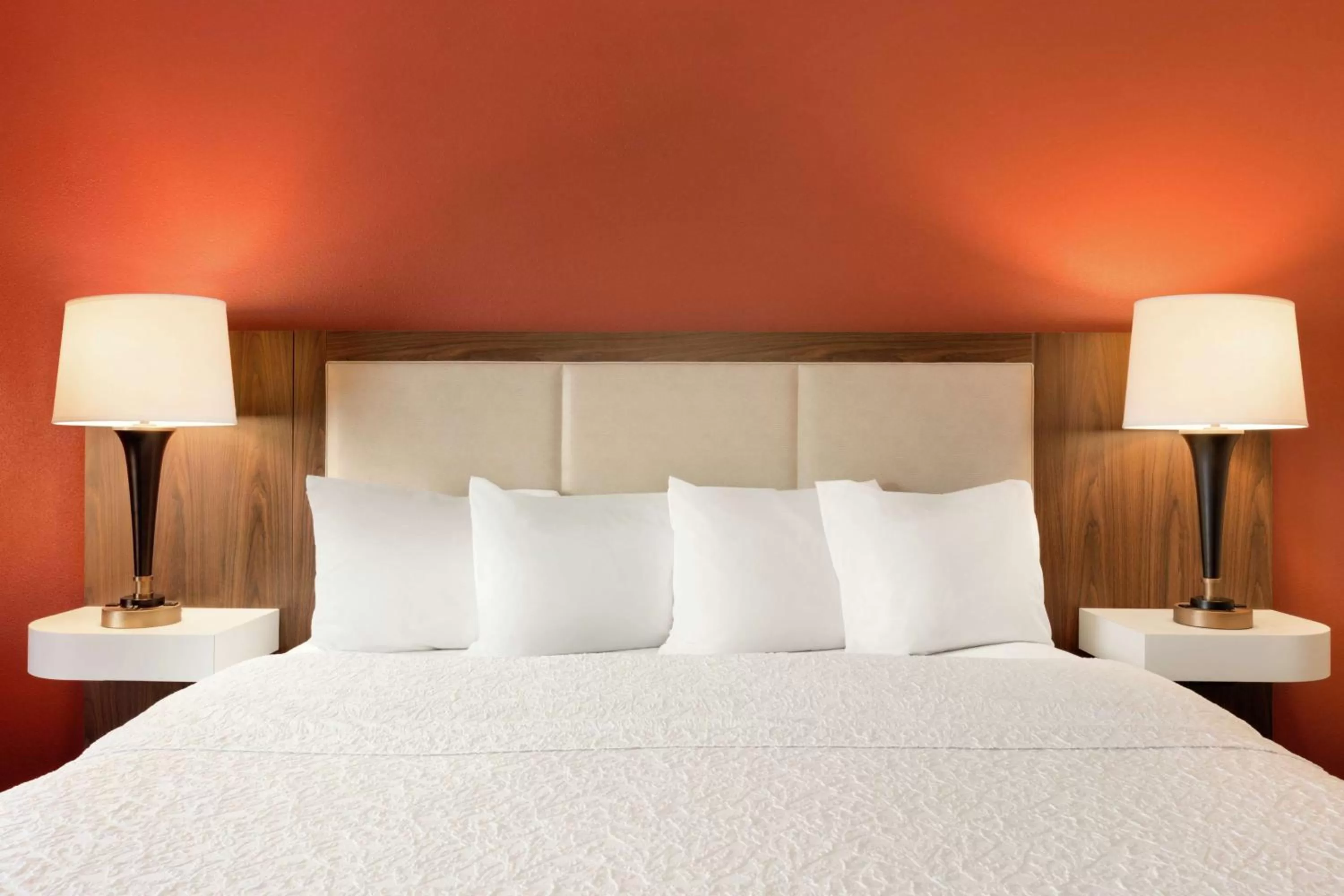 King Room with King Bed - Non-Smoking in Hampton Inn Wichita Falls-Sikes Senter Mall