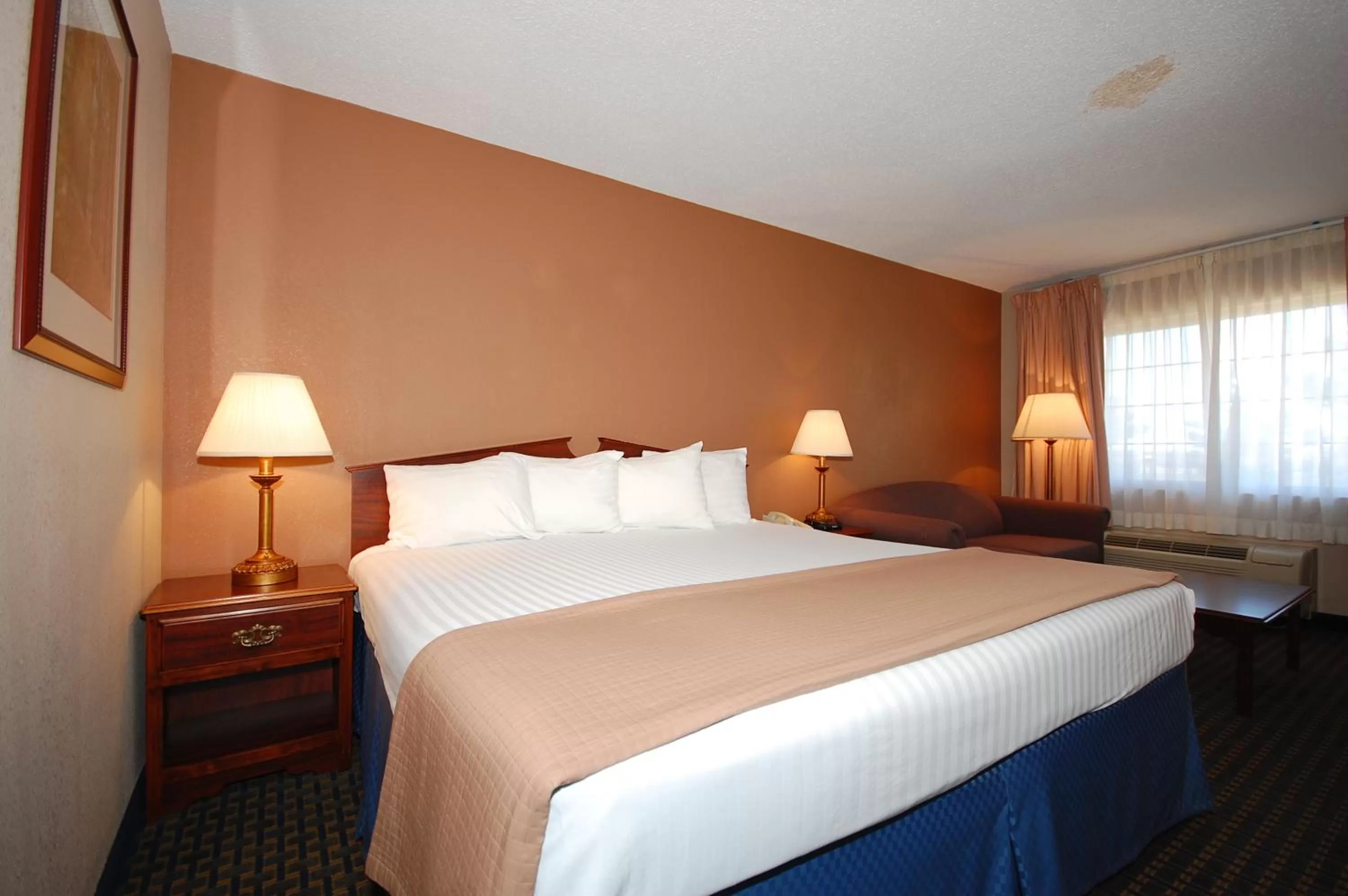 King Room in Magnuson Hotel Red Baron