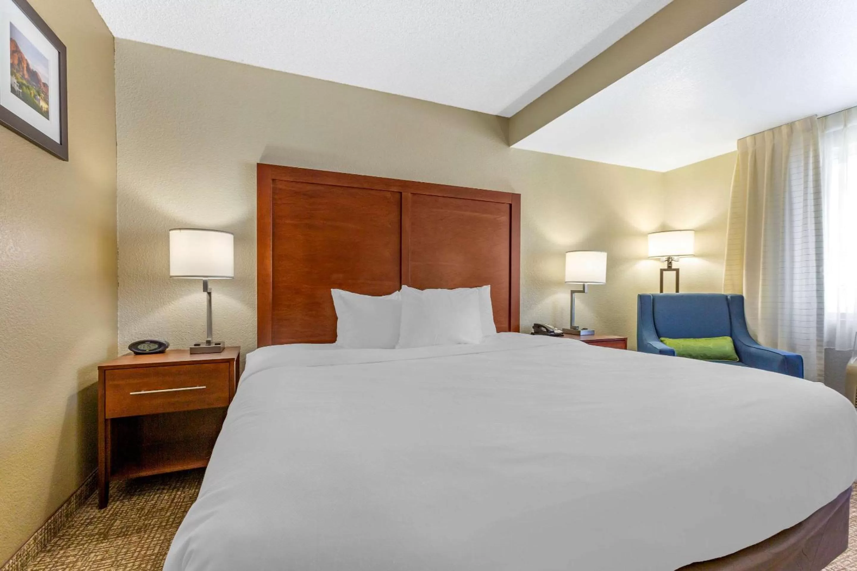 Standard King Room - Non-Smoking  in Comfort Inn & Suites Phoenix North - Deer Valley