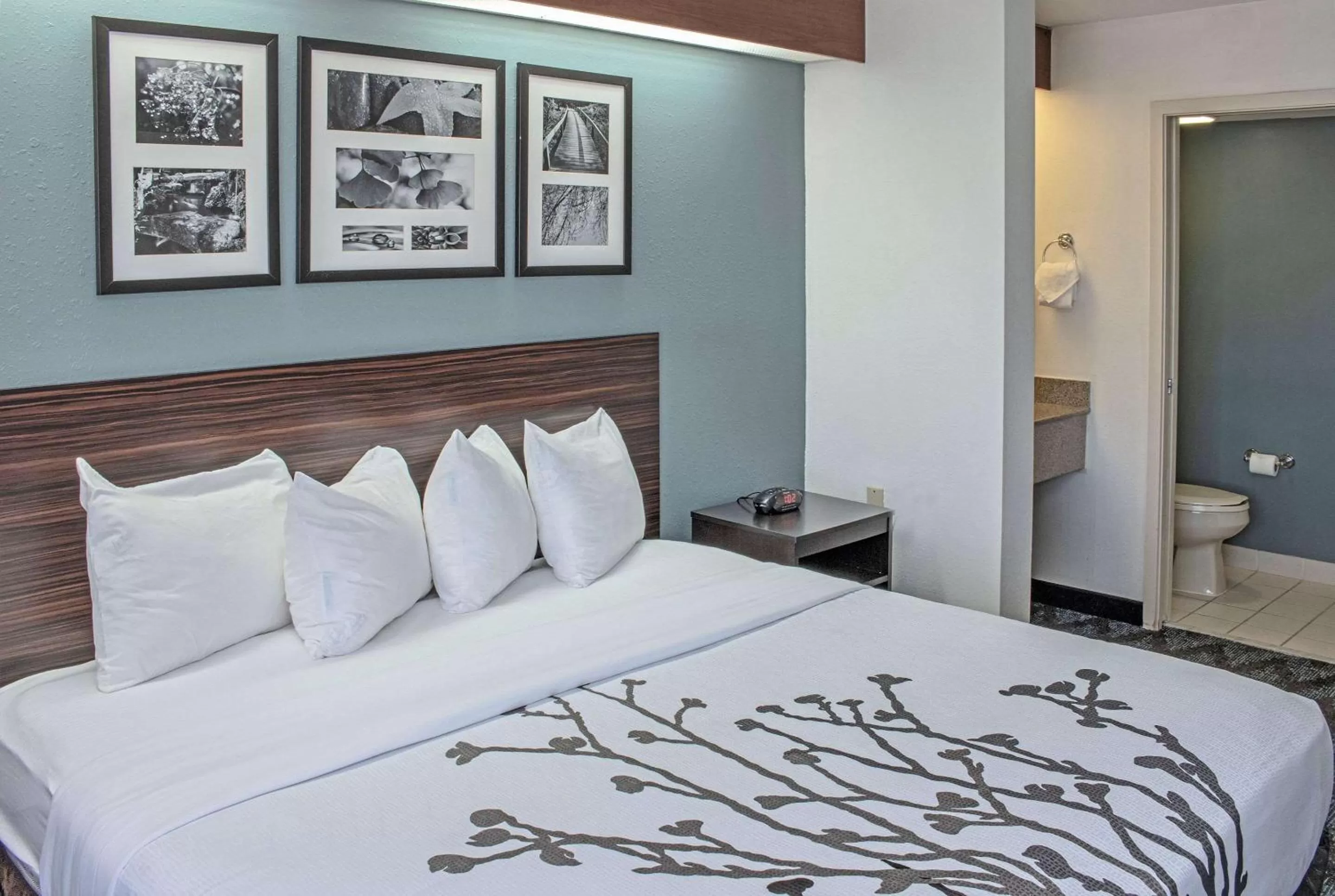 King Room - Non-Smoking in Sleep Inn Lake Wright - Norfolk Airport