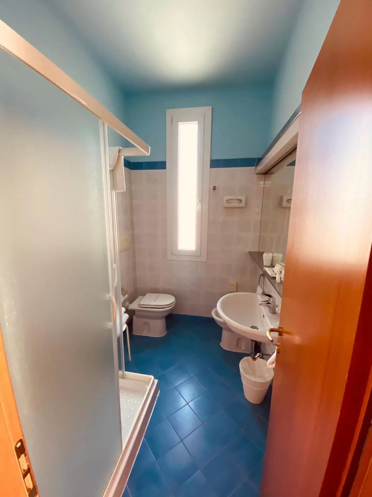 Double or Twin Room with City View in Hotel Bellevue