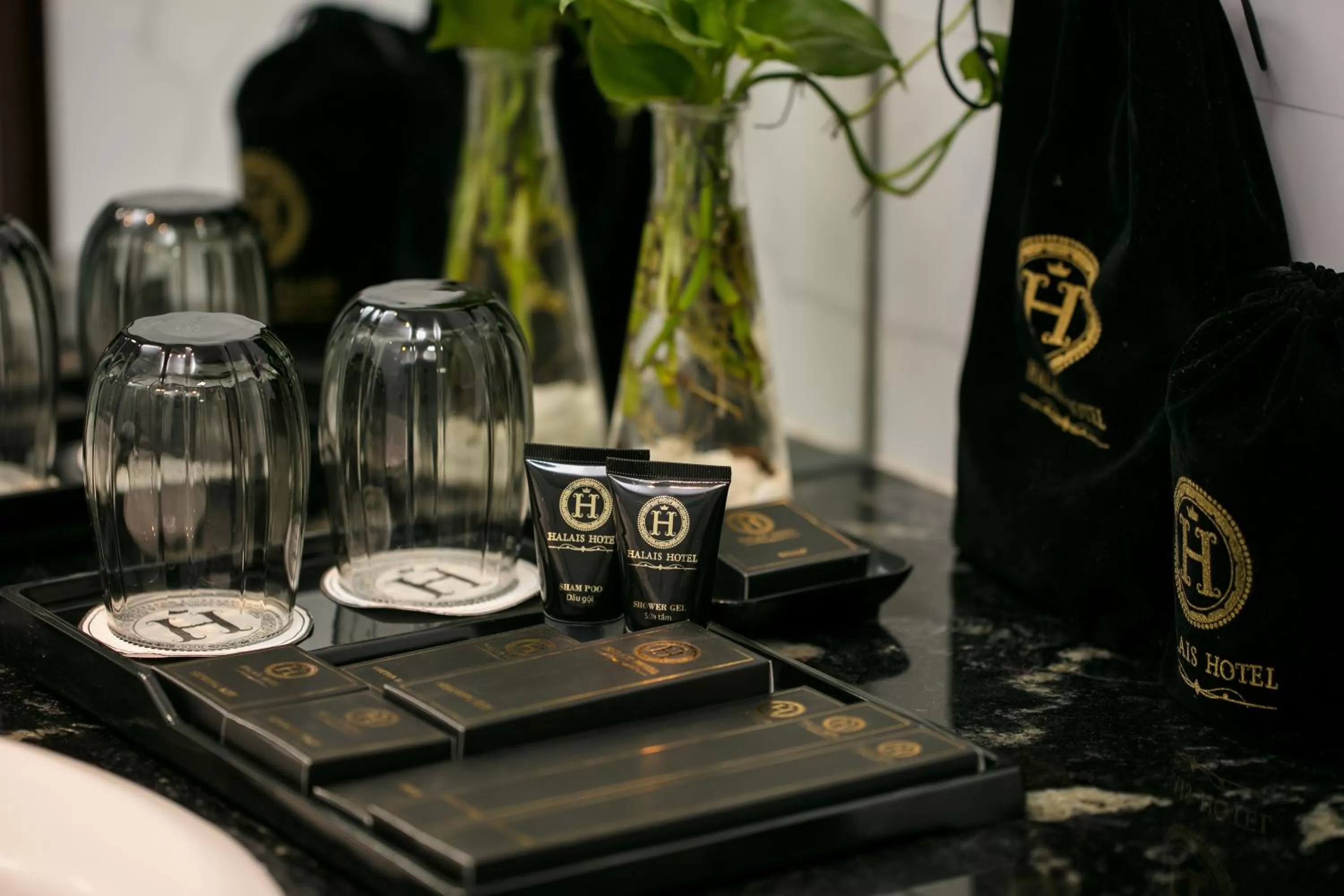 Deluxe Double or Twin Room with City View - single occupancy in Halais Hotel