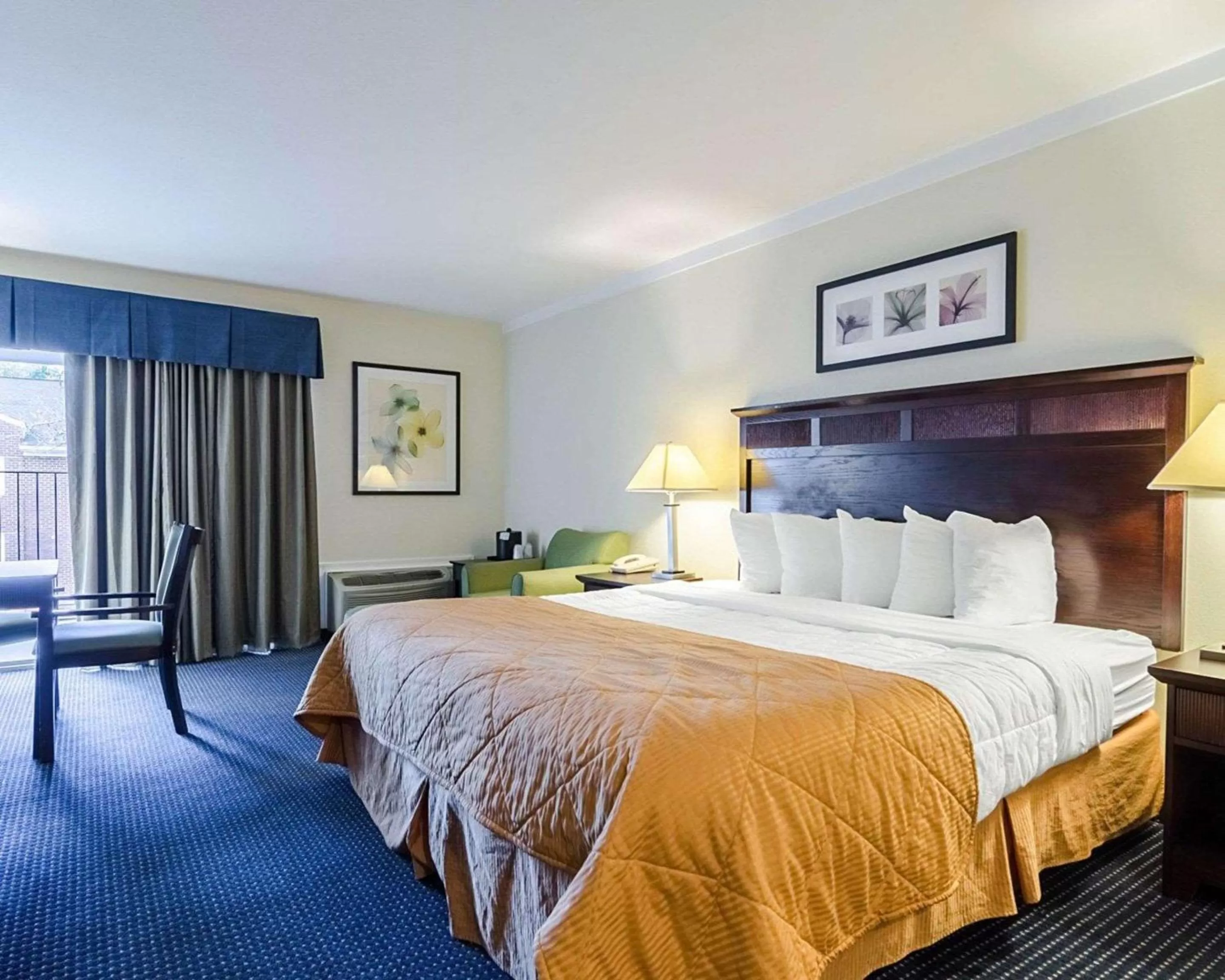 King Room - Accessible/Non-Smoking in Rodeway Inn & Suites Williamsburg Central