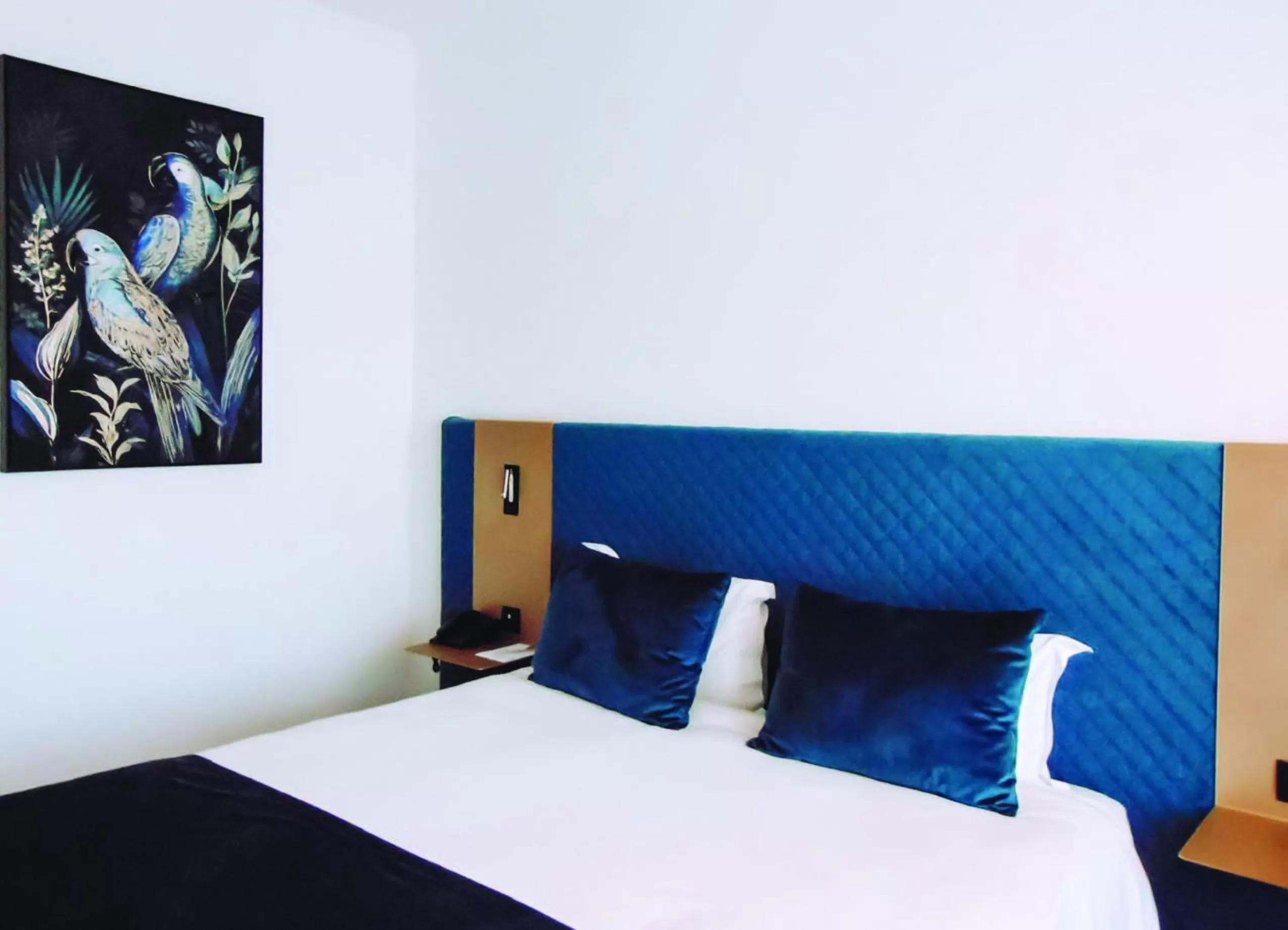 Superior Double or Twin Room with City View - single occupancy in Ajax Hotel