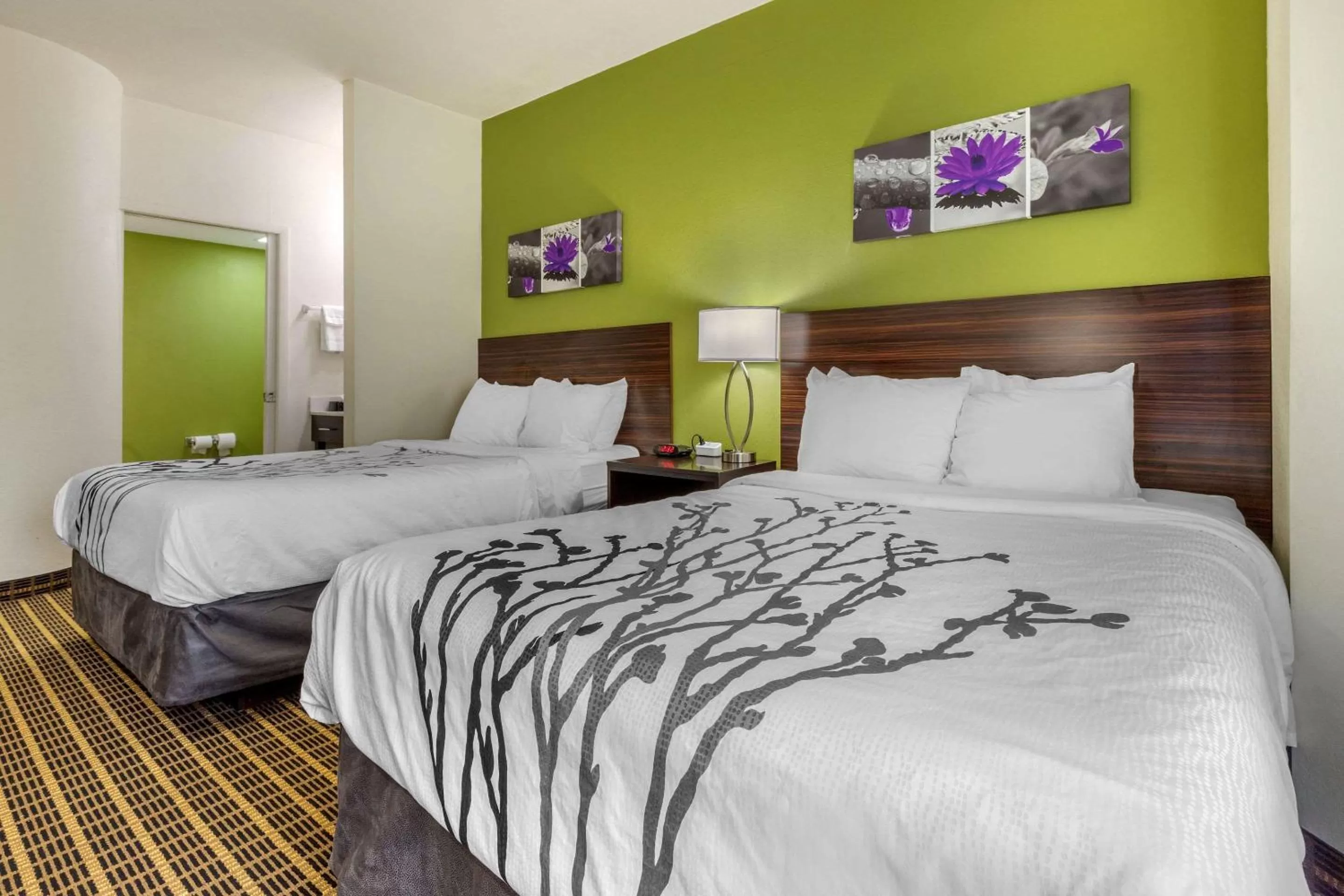 Double Room with Two Double Beds - Non-Smoking in Sleep Inn Orangeburg