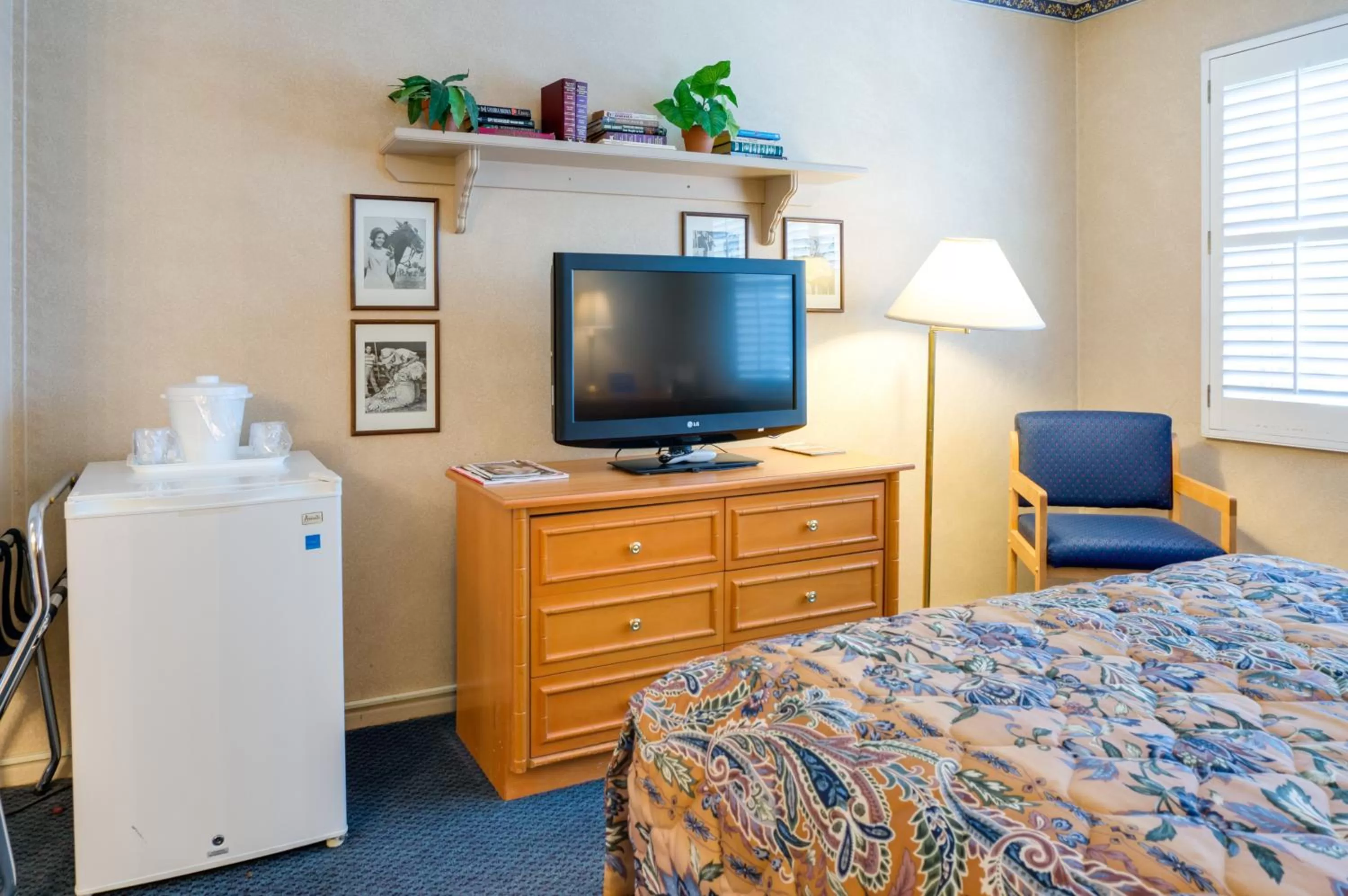 Standard Room with One Double Bed - single occupancy in Saga Motor Hotel Pasadena