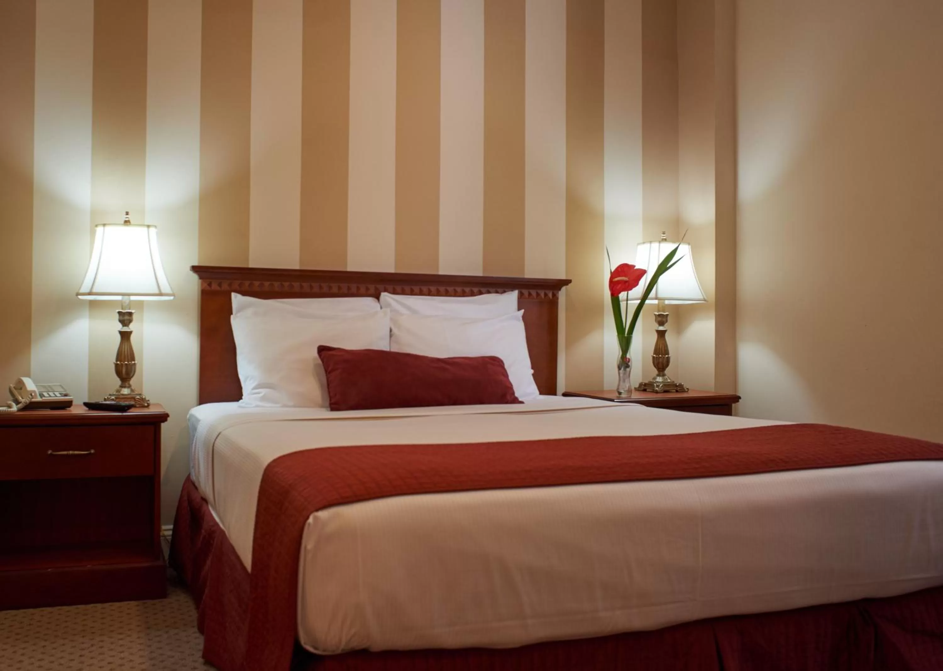 One Full Bed Room in Hotel St. James