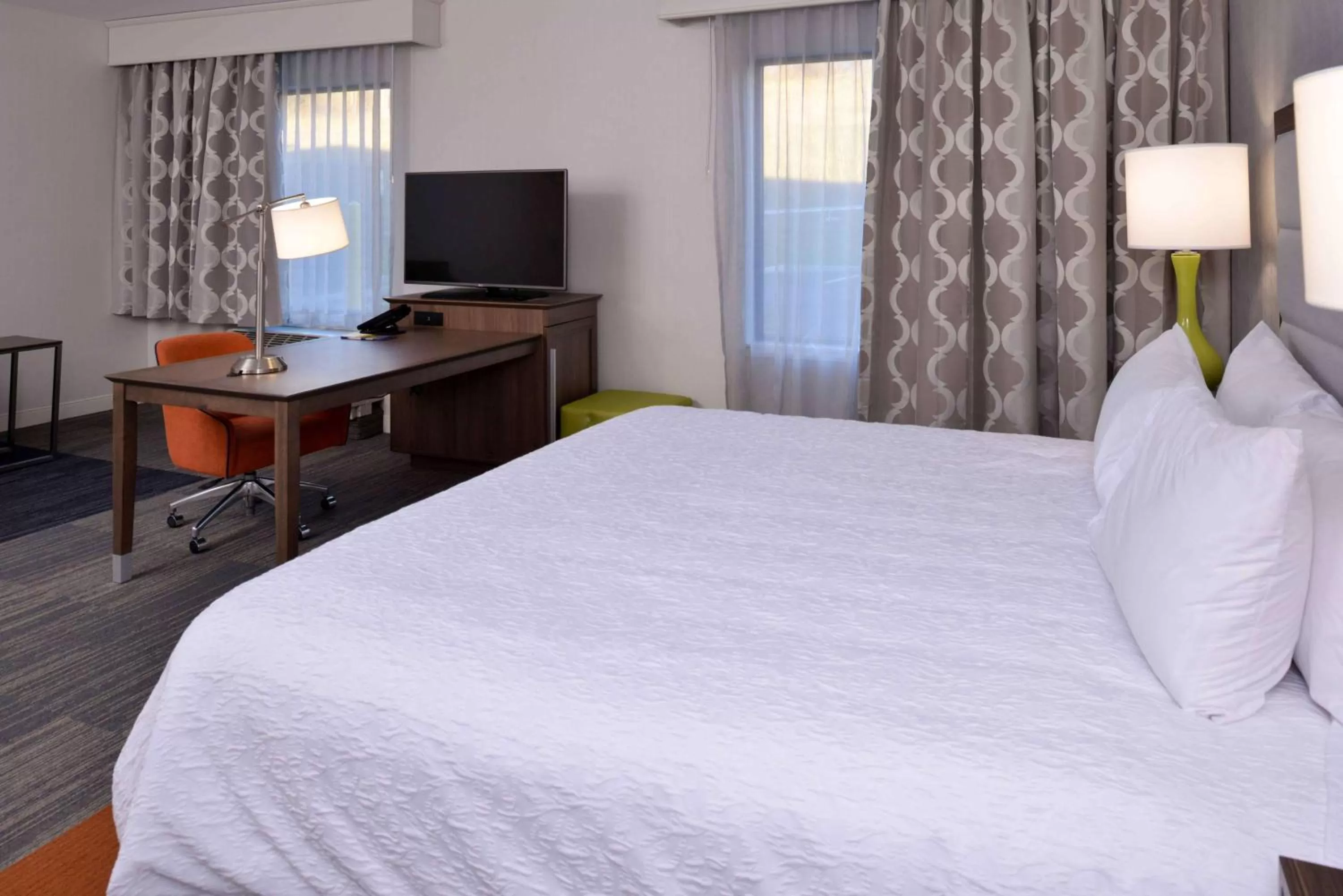 King Studio Suite with Sofa Bed - Hearing Access/Non-Smoking in Hampton Inn & Suites Albany-East Greenbush, NY