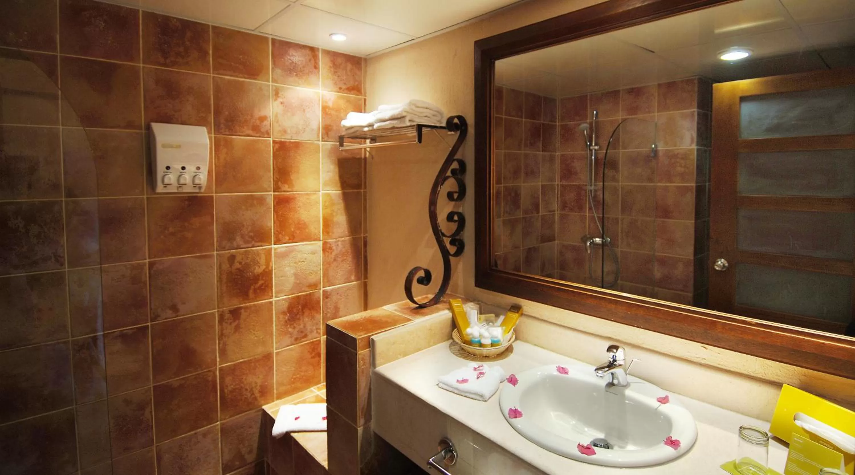 Superior Double Room - Ocean Front in Occidental Caribe - All Inclusive