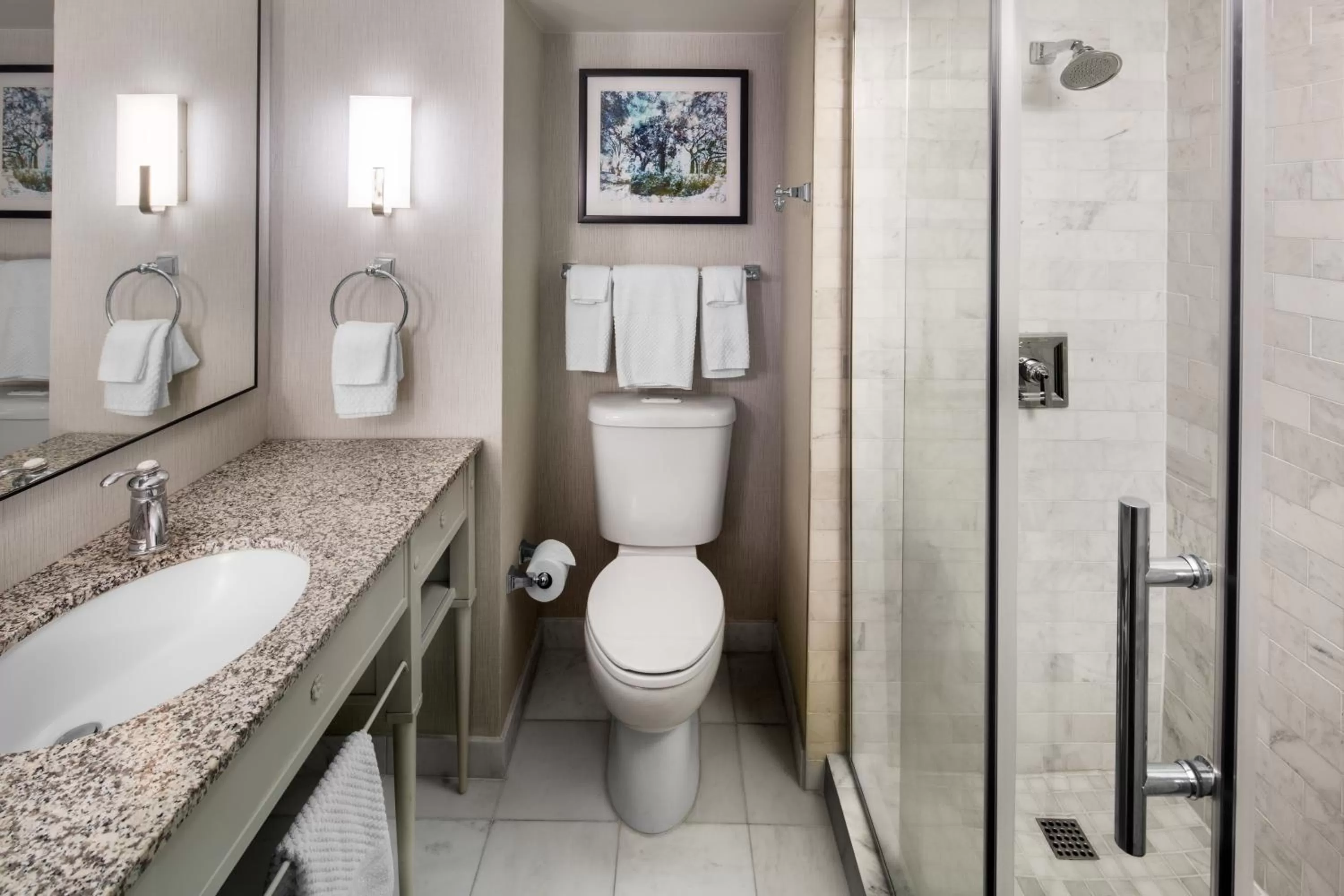 Standard King in The DeSoto