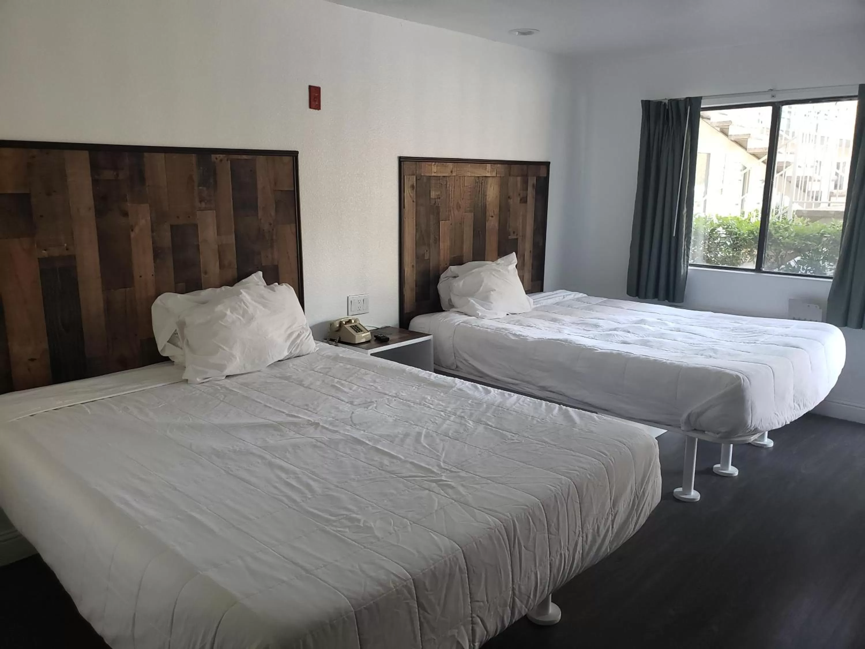 Double Room - Non-Smoking  in University Inn Fresno