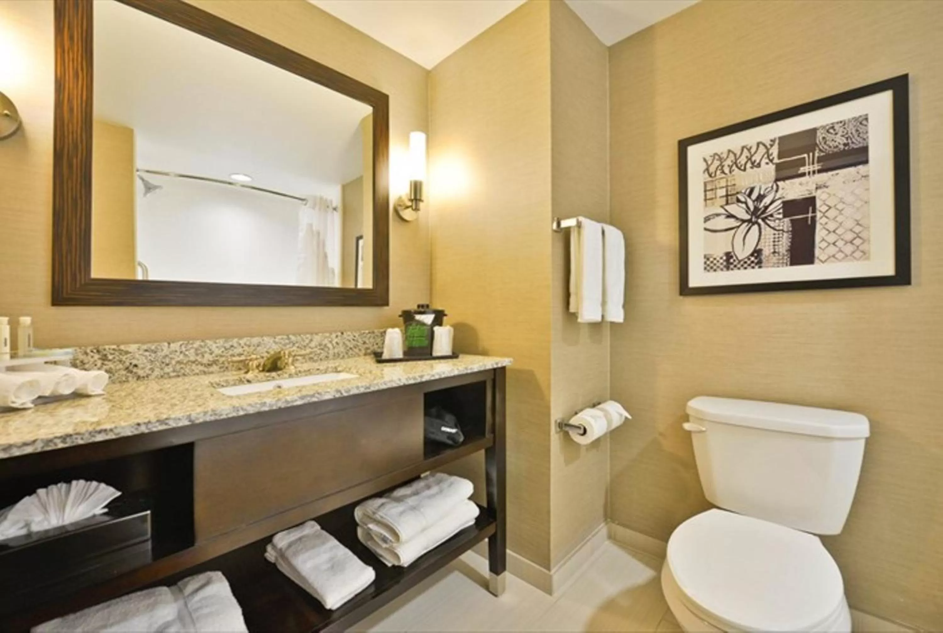 King Suite in Holiday Inn Express & Suites Utica by IHG