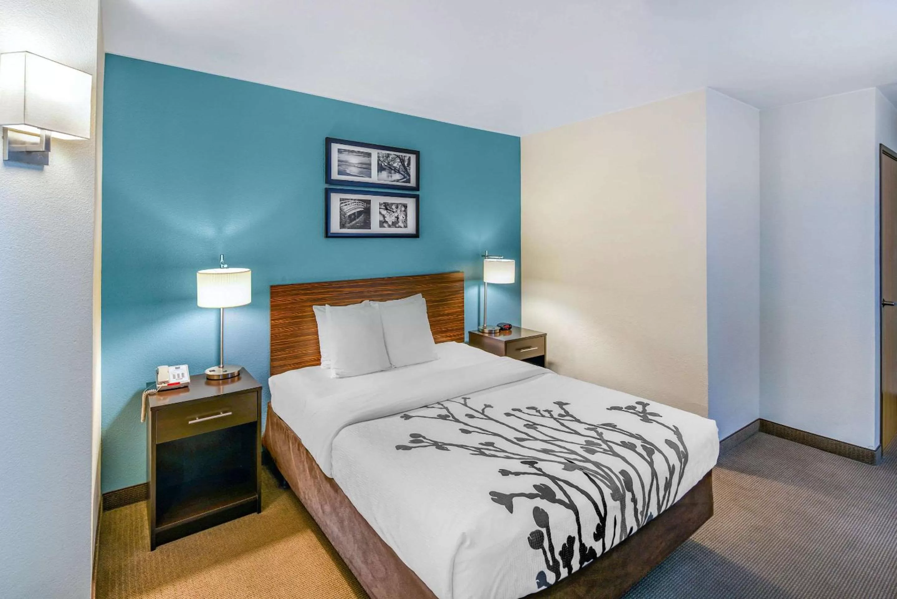 Queen Room - Disability Access/Non-Smoking in Sleep Inn near Washington State Line
