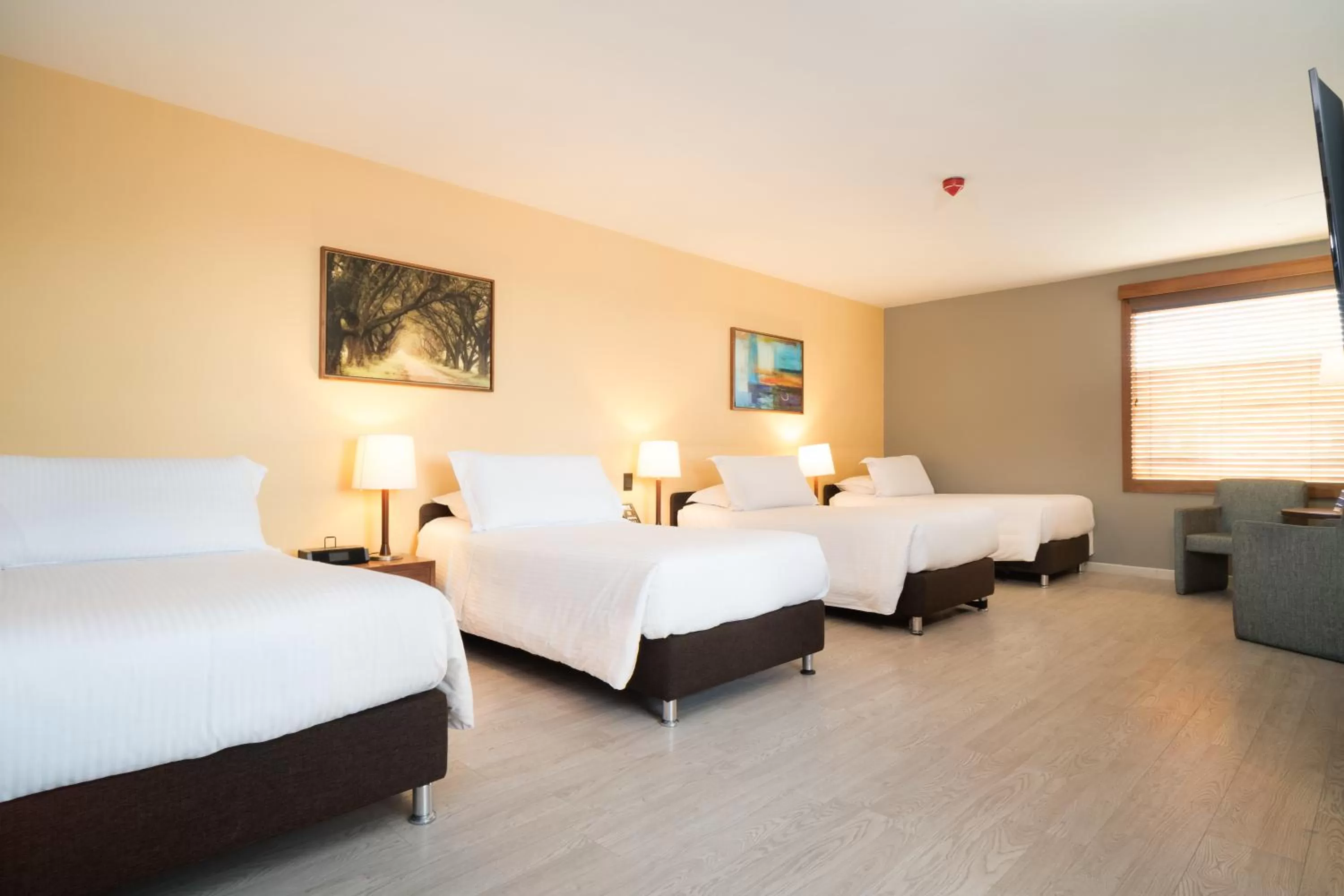 Standard Quadruple Room in Hotel Habitel Select