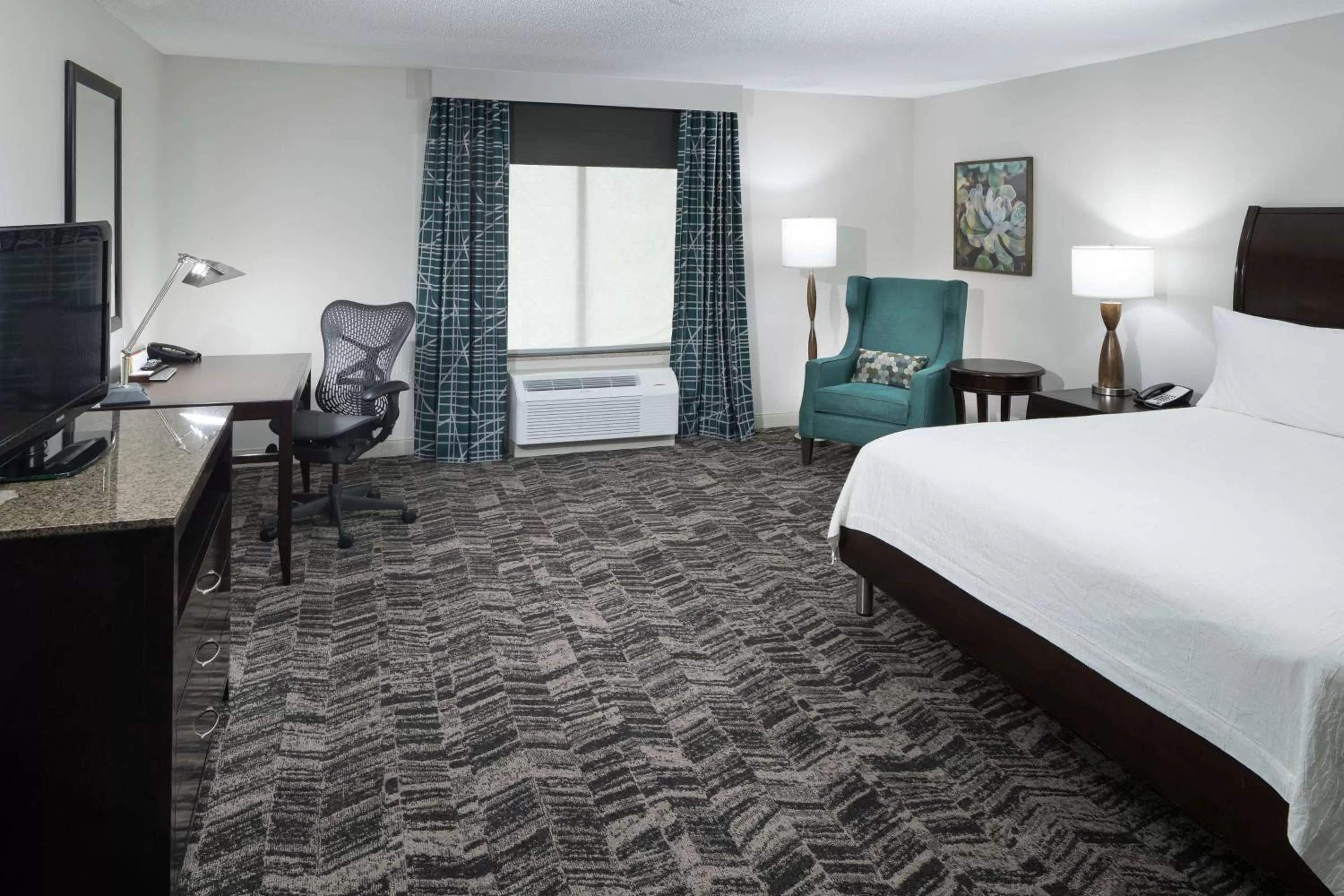 King Room with Bath Tub - Mobility Access in Hilton Garden Inn Dothan