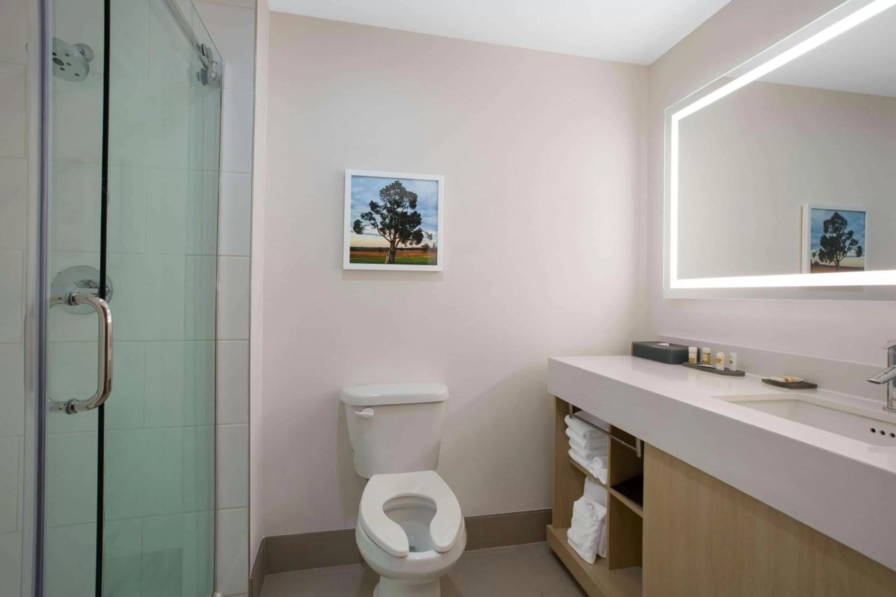 Deluxe King Suite - Non-Smoking in La Quinta Inn & Suites by Wyndham Manassas, VA- Dulles Airport