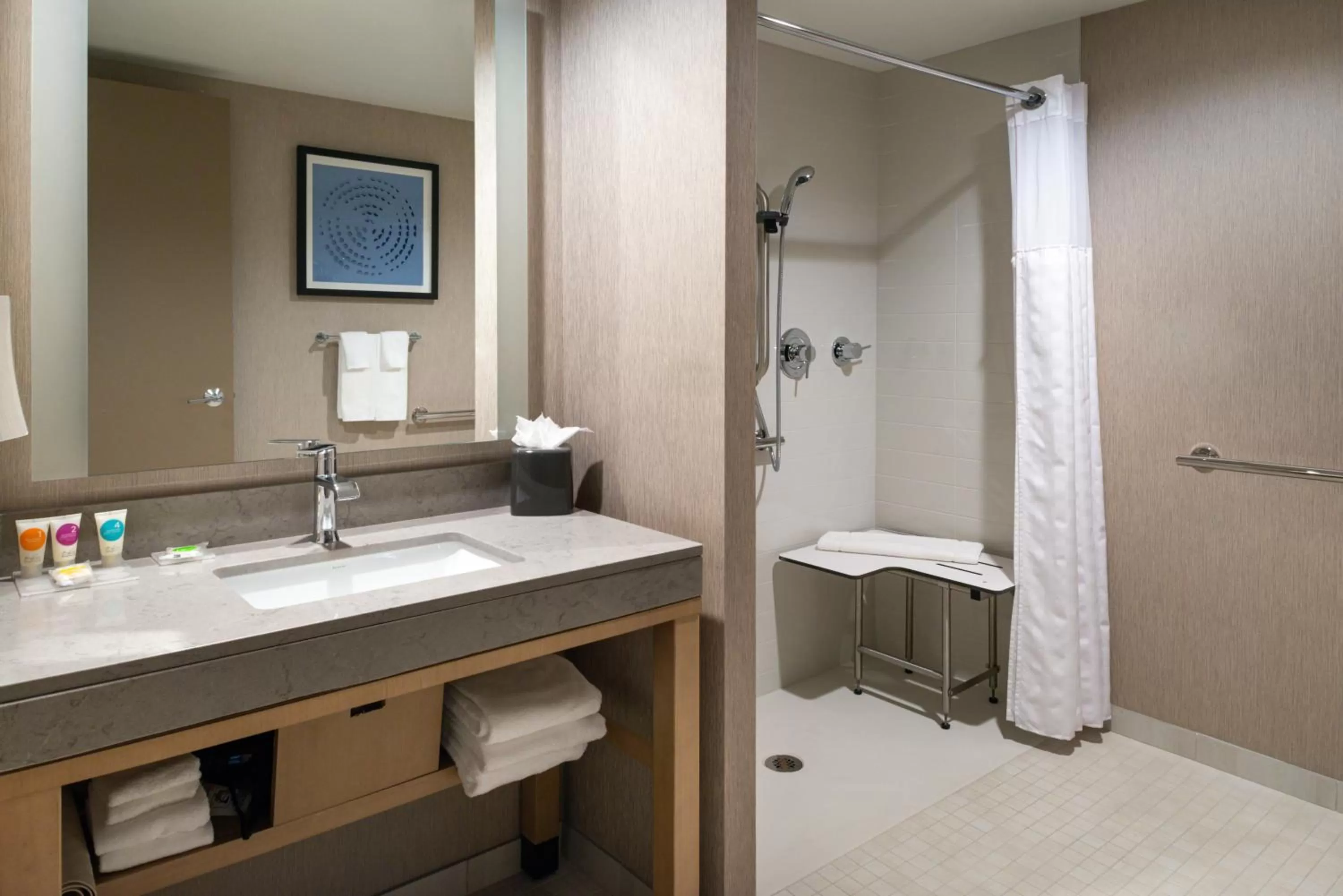 Queen Room with Two Queen Beds and Roll-In Shower - Disability Access in Hyatt Place Chicago Wicker Park