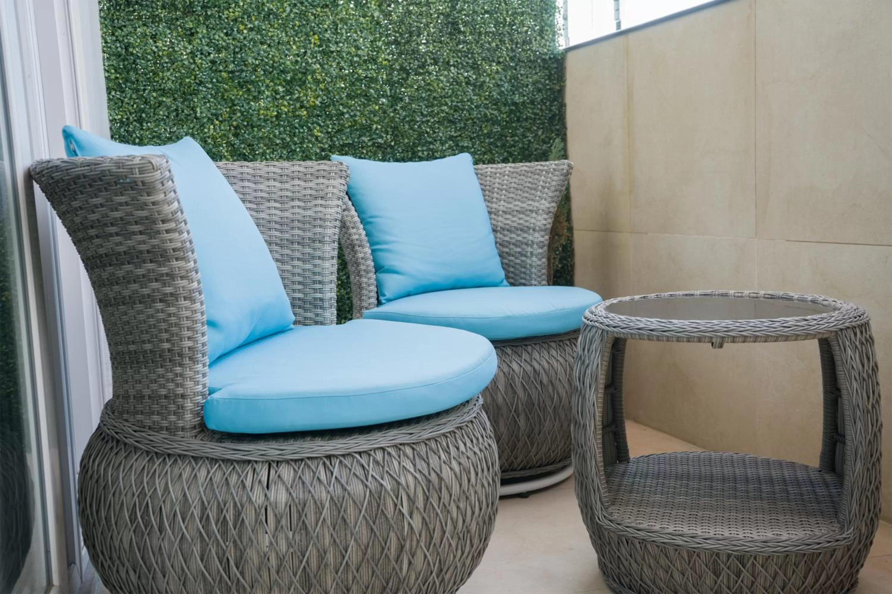 Super dlx Virtual Garden - single occupancy in Clarks Inn Suites Kangra