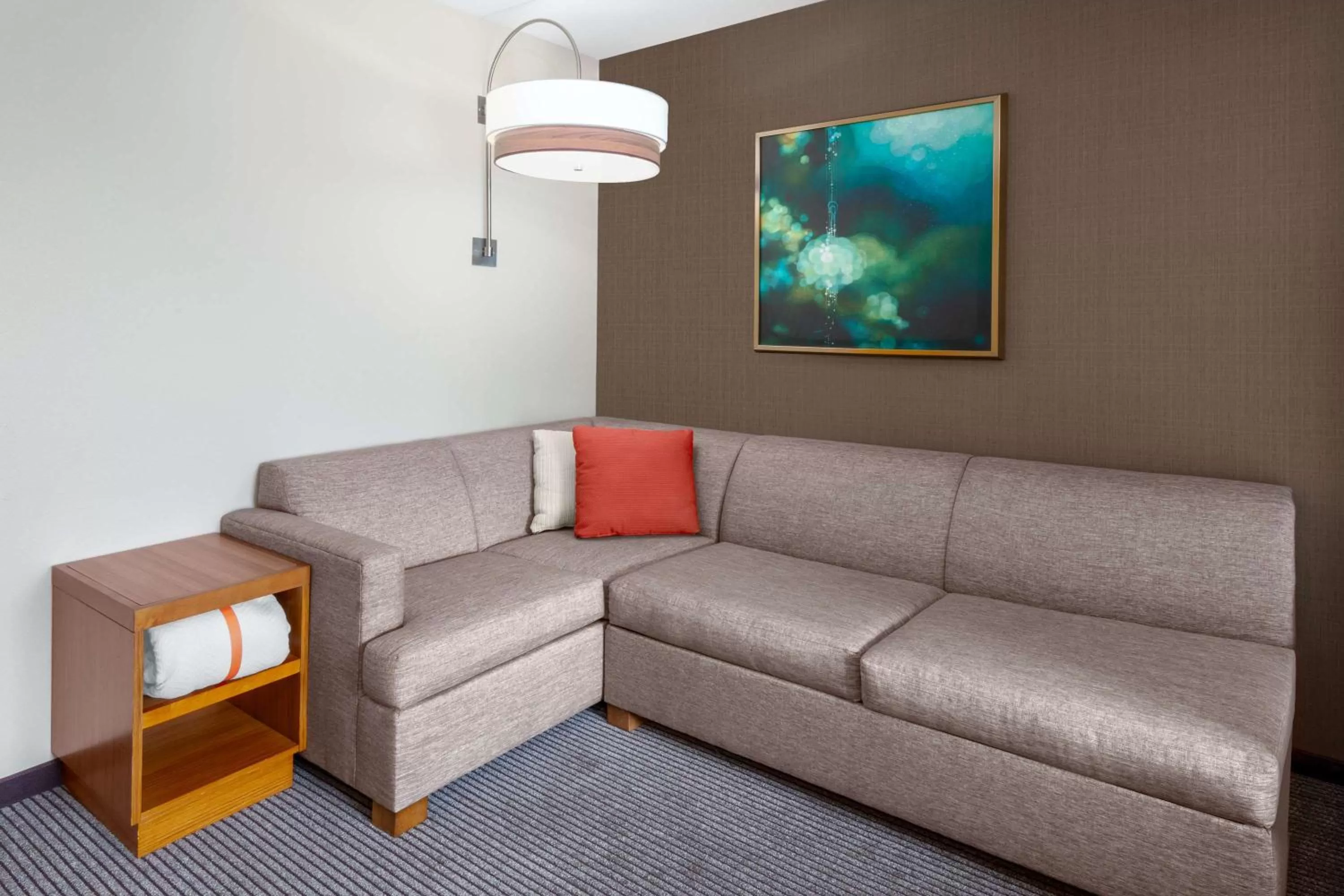 King Room with Accessible Tub - Disability Access in Hyatt Place Denver Downtown