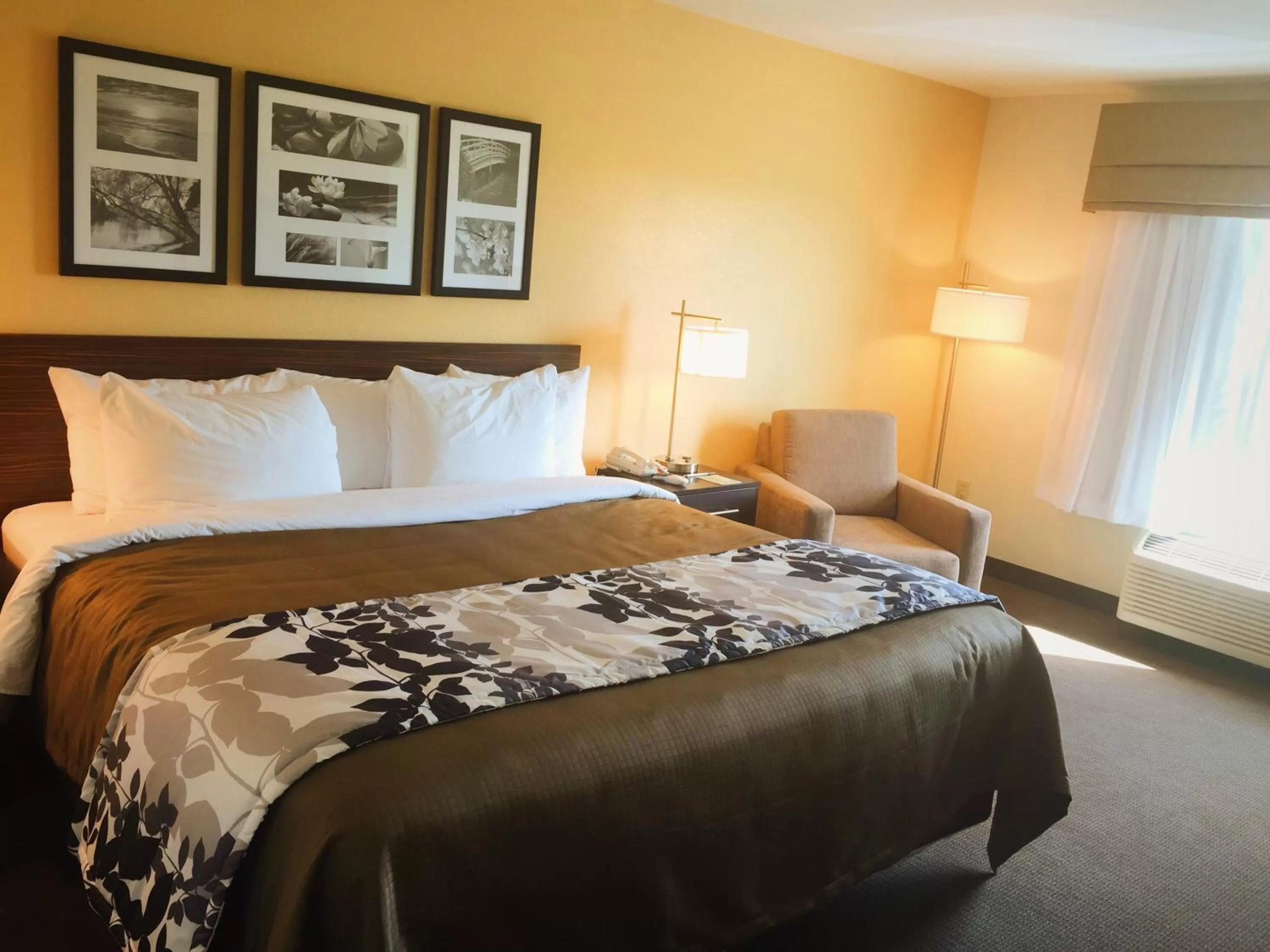 King Room with Accessible Tub - Accessible/Non-Smoking in Sleep Inn & Suites Carlsbad Caverns Area