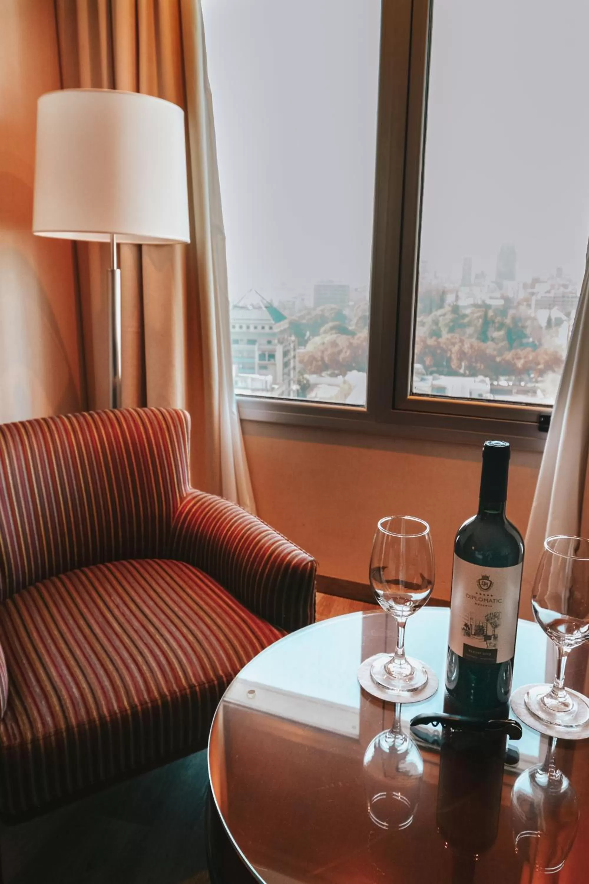 Standard Double Room with City View in DiplomaticHotel