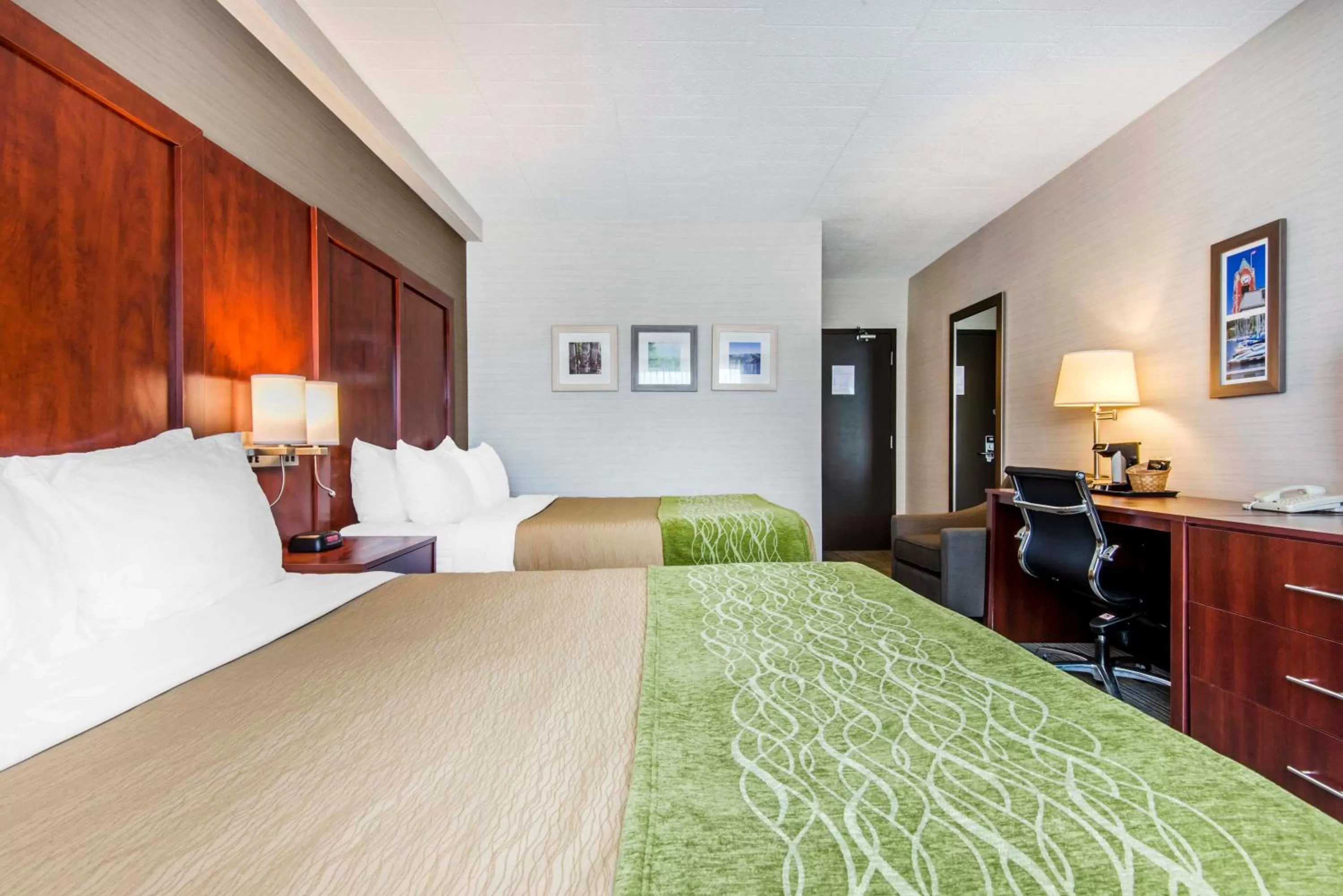 Queen Room with Two Queen Beds - Non-Smoking in Comfort Inn & Suites
